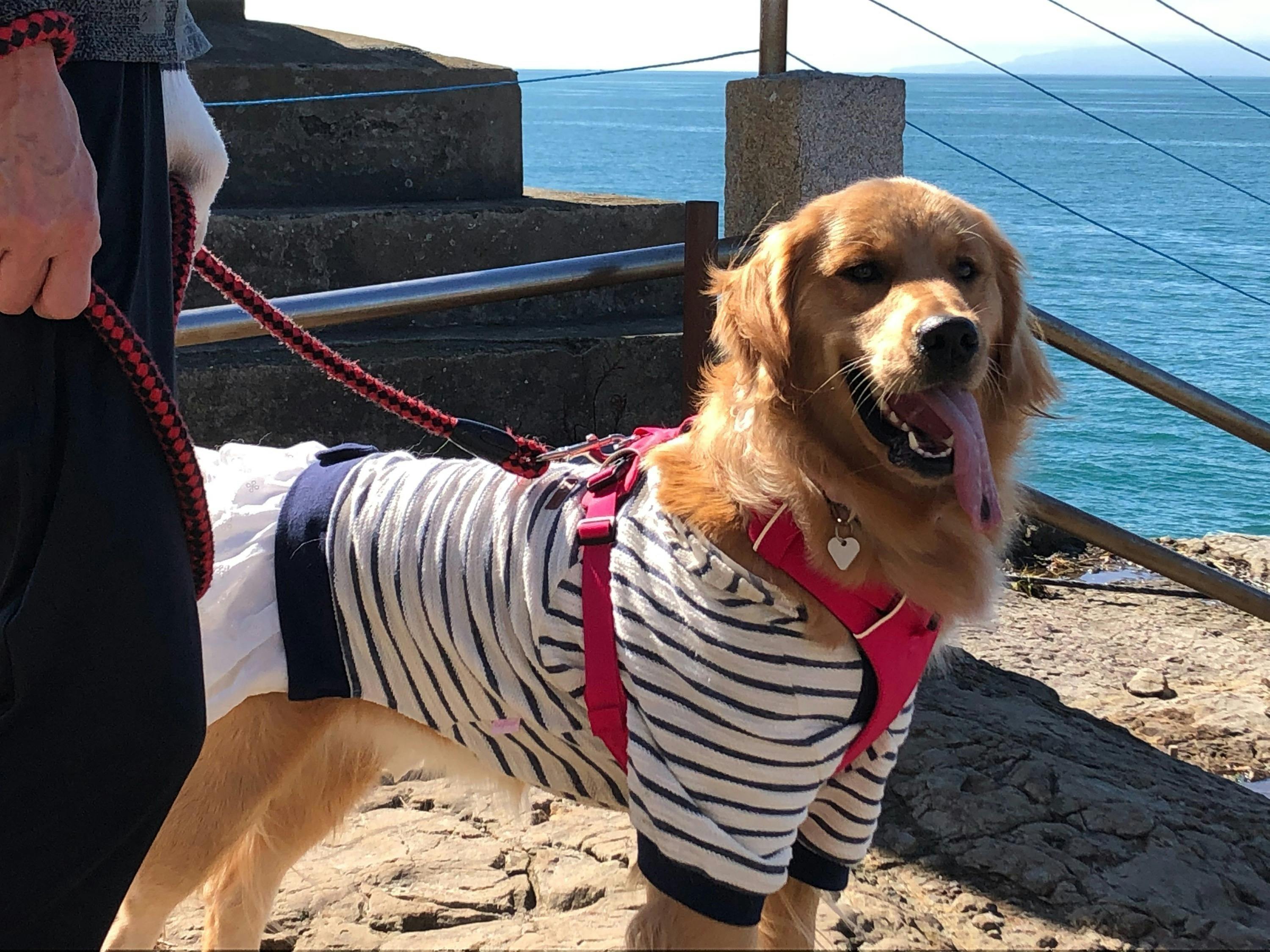 3番目のメイン画像