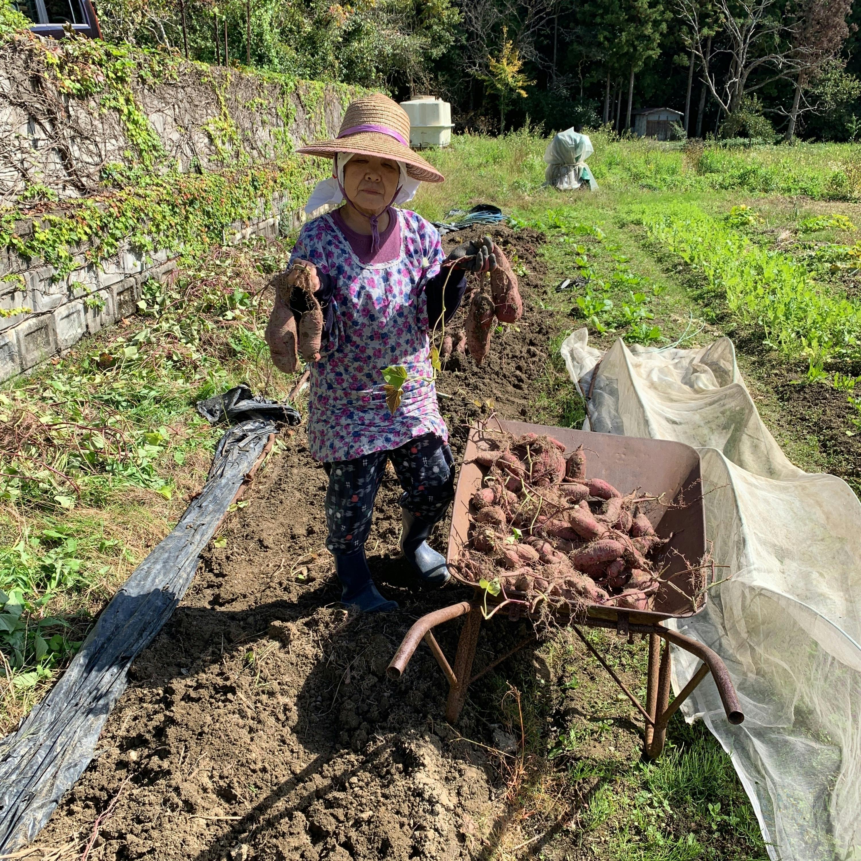 4番目のメイン画像