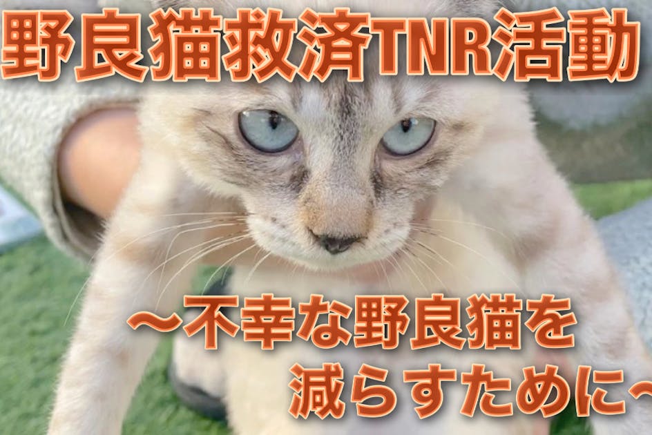 85e59b6a-00bf-4ed5-b4ac-