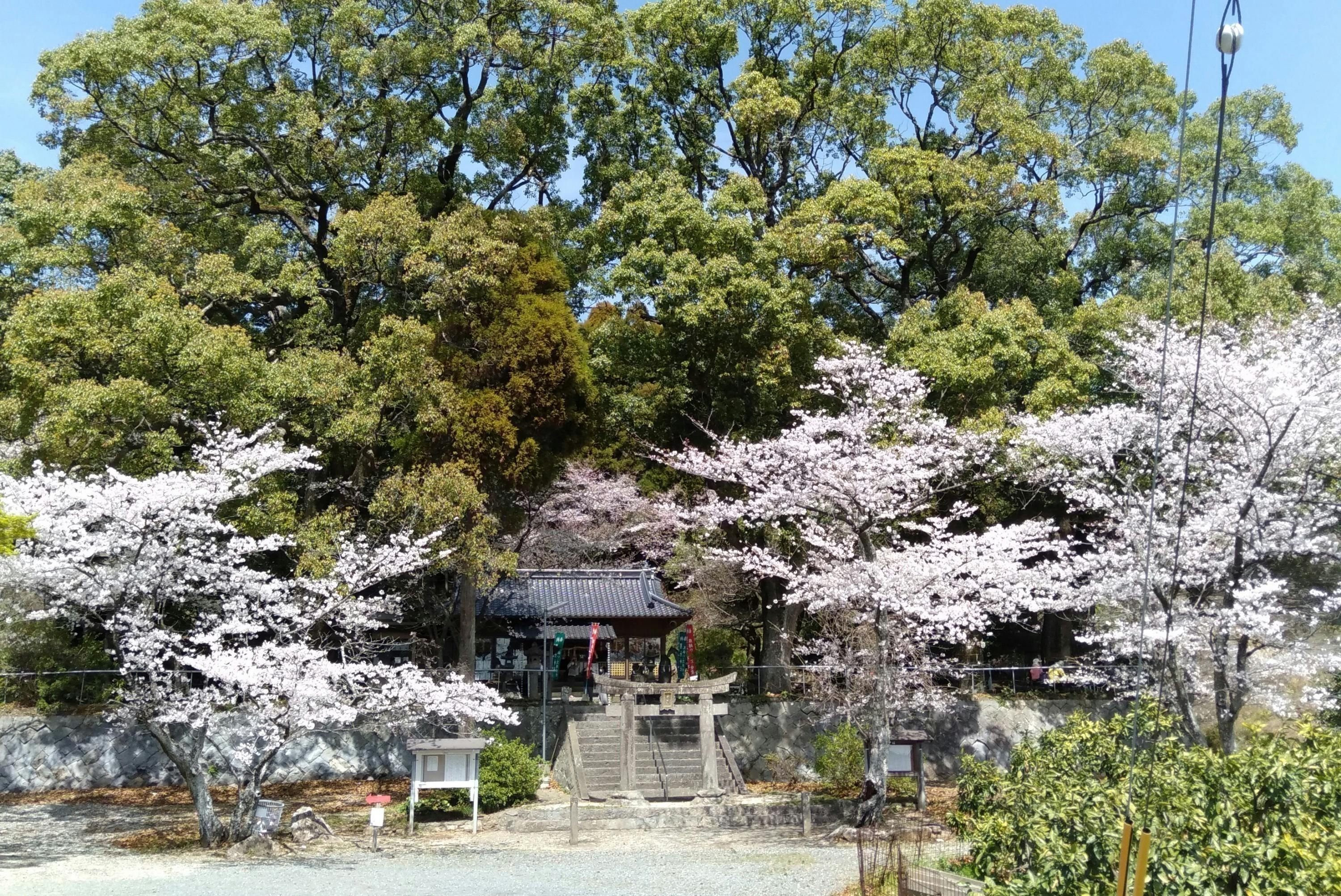 4番目のメイン画像