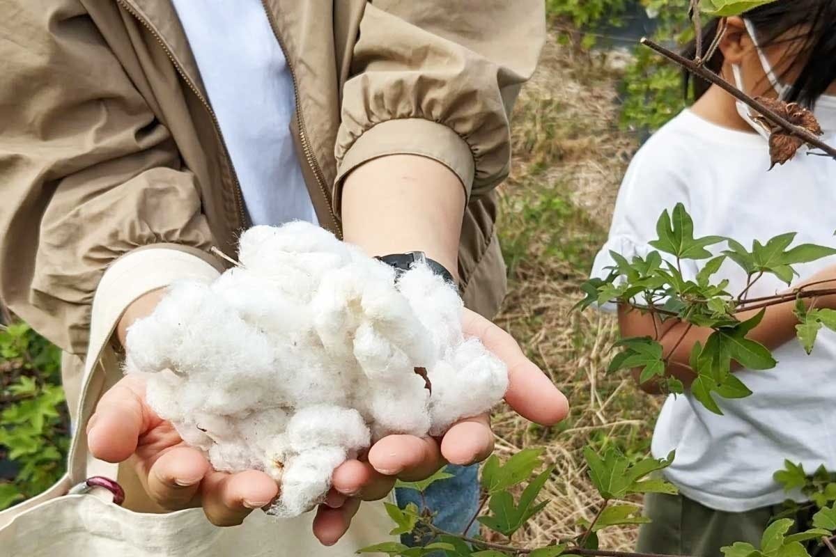 4番目のメイン画像