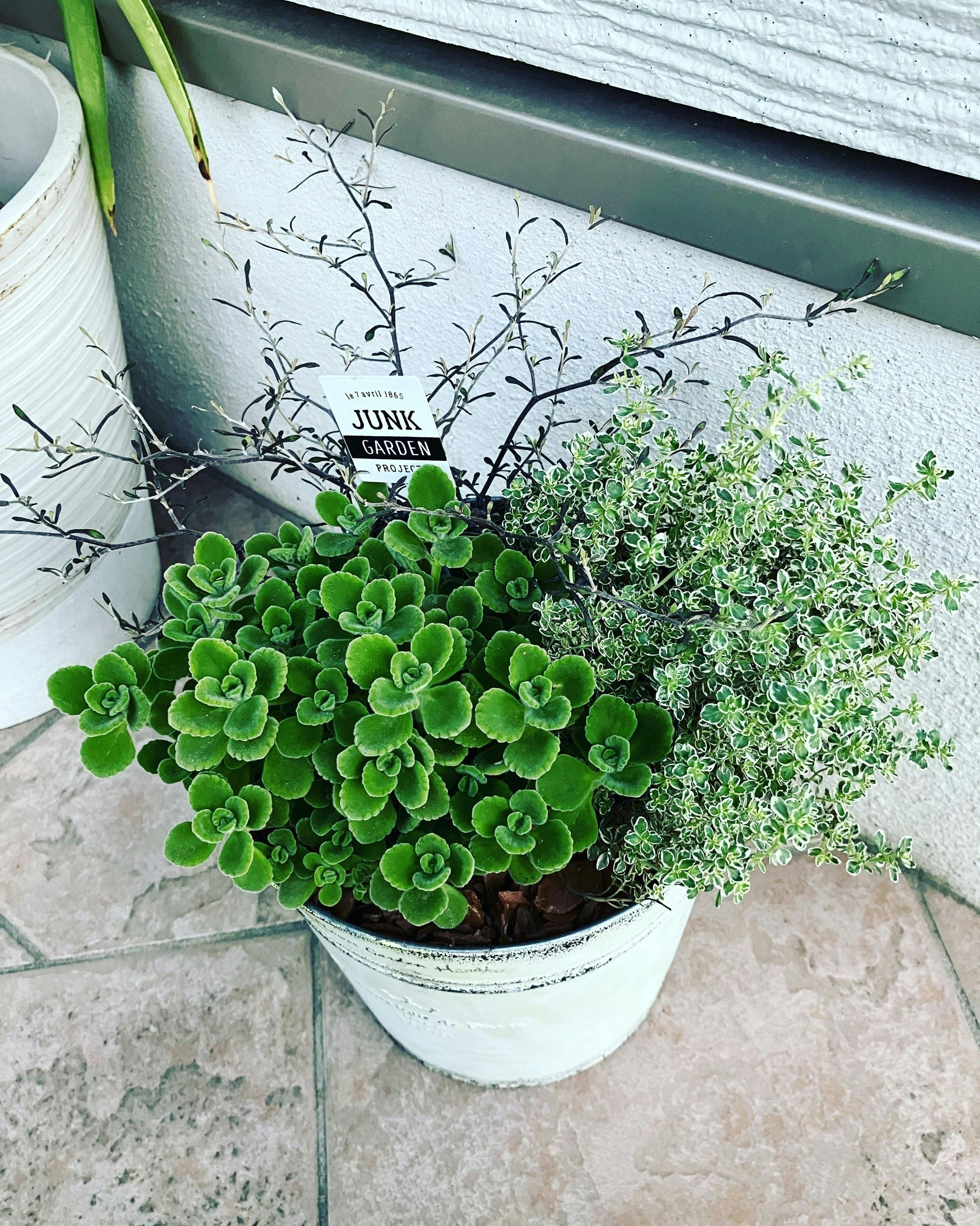 5番目のメイン画像