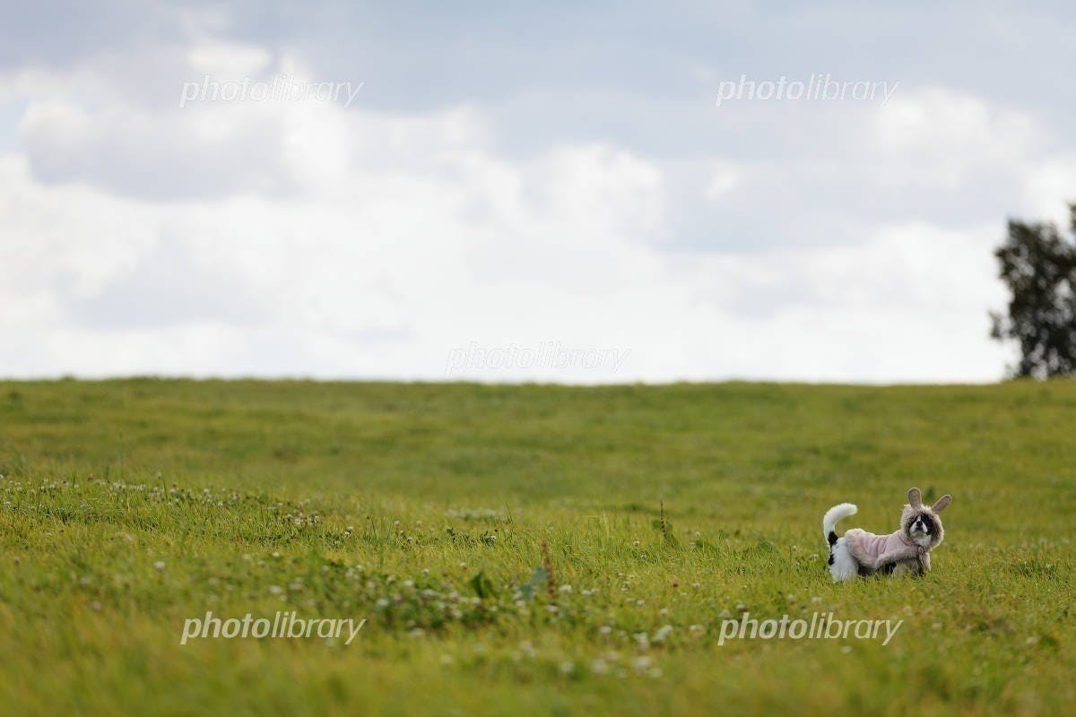 3番目のメイン画像