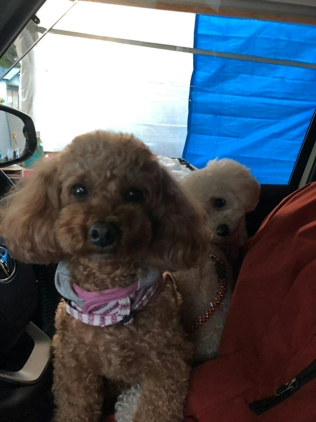 2番目のメイン画像