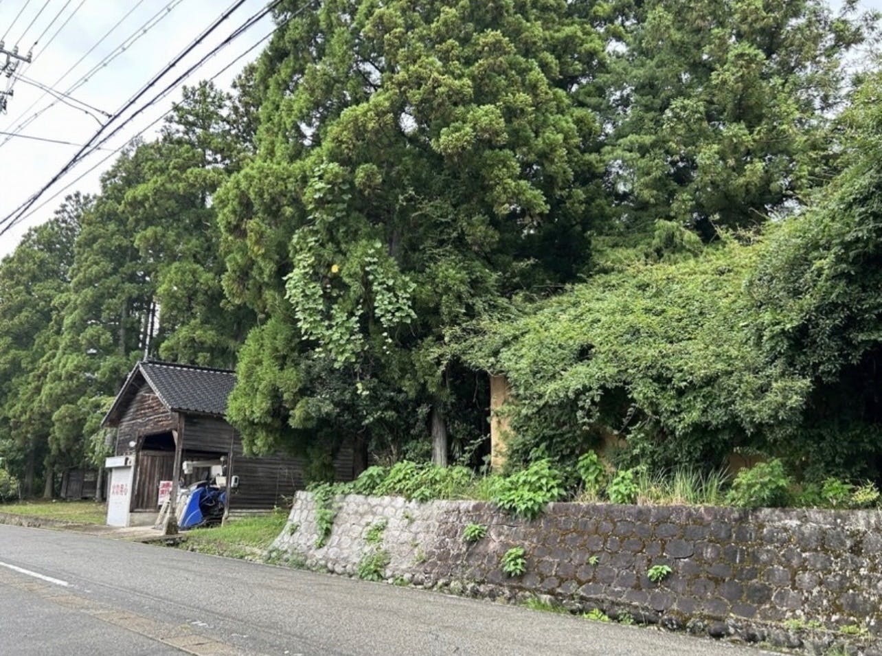 3番目のメイン画像