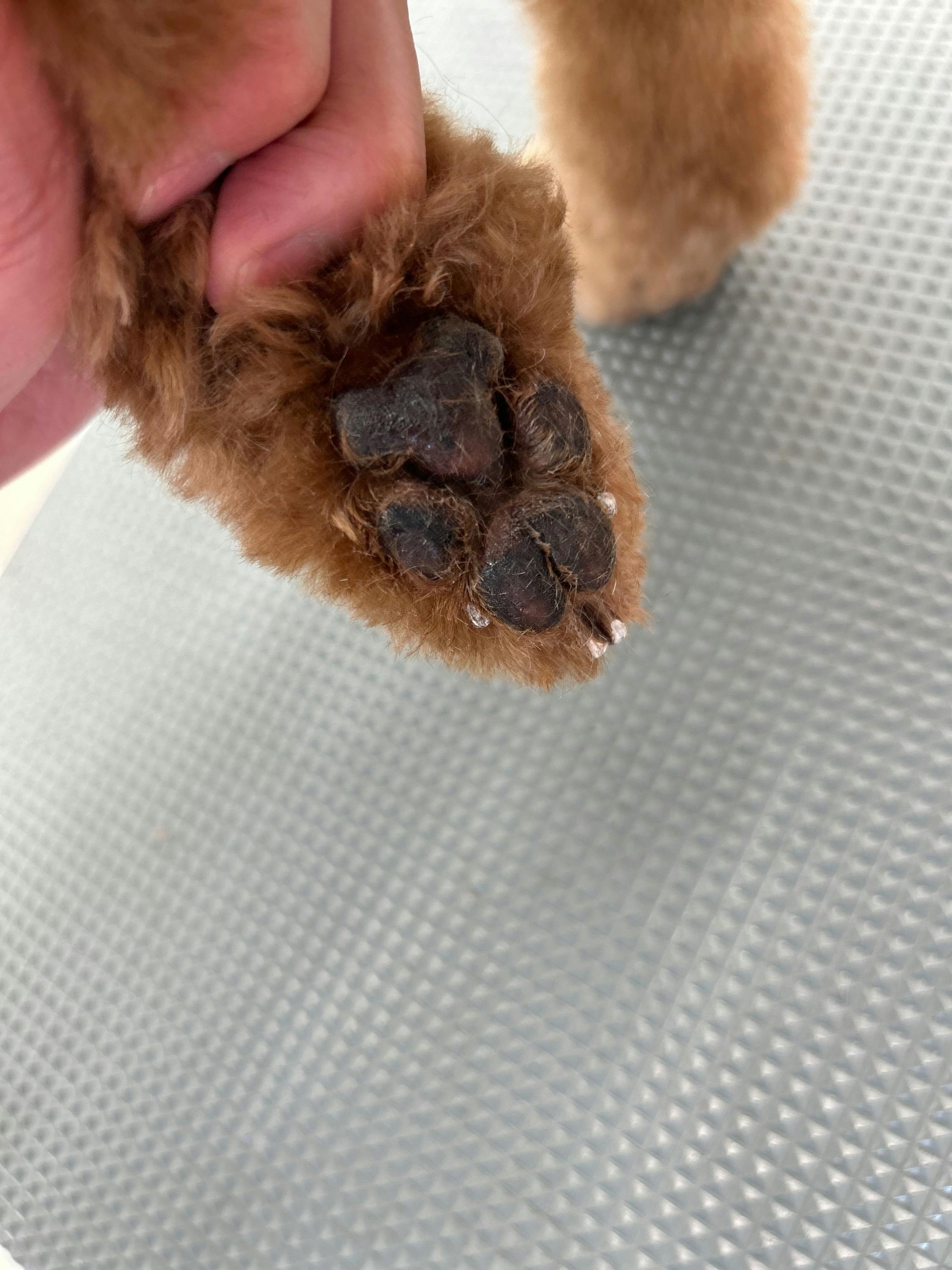 5番目のメイン画像