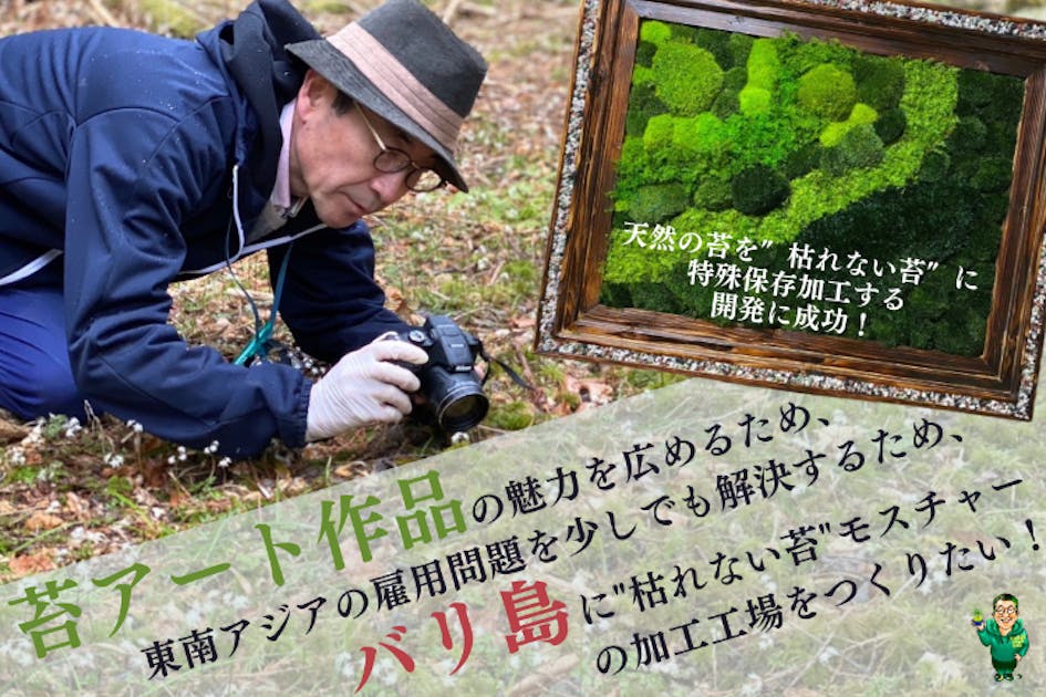 e51935cd-e841-4a6b-941a-