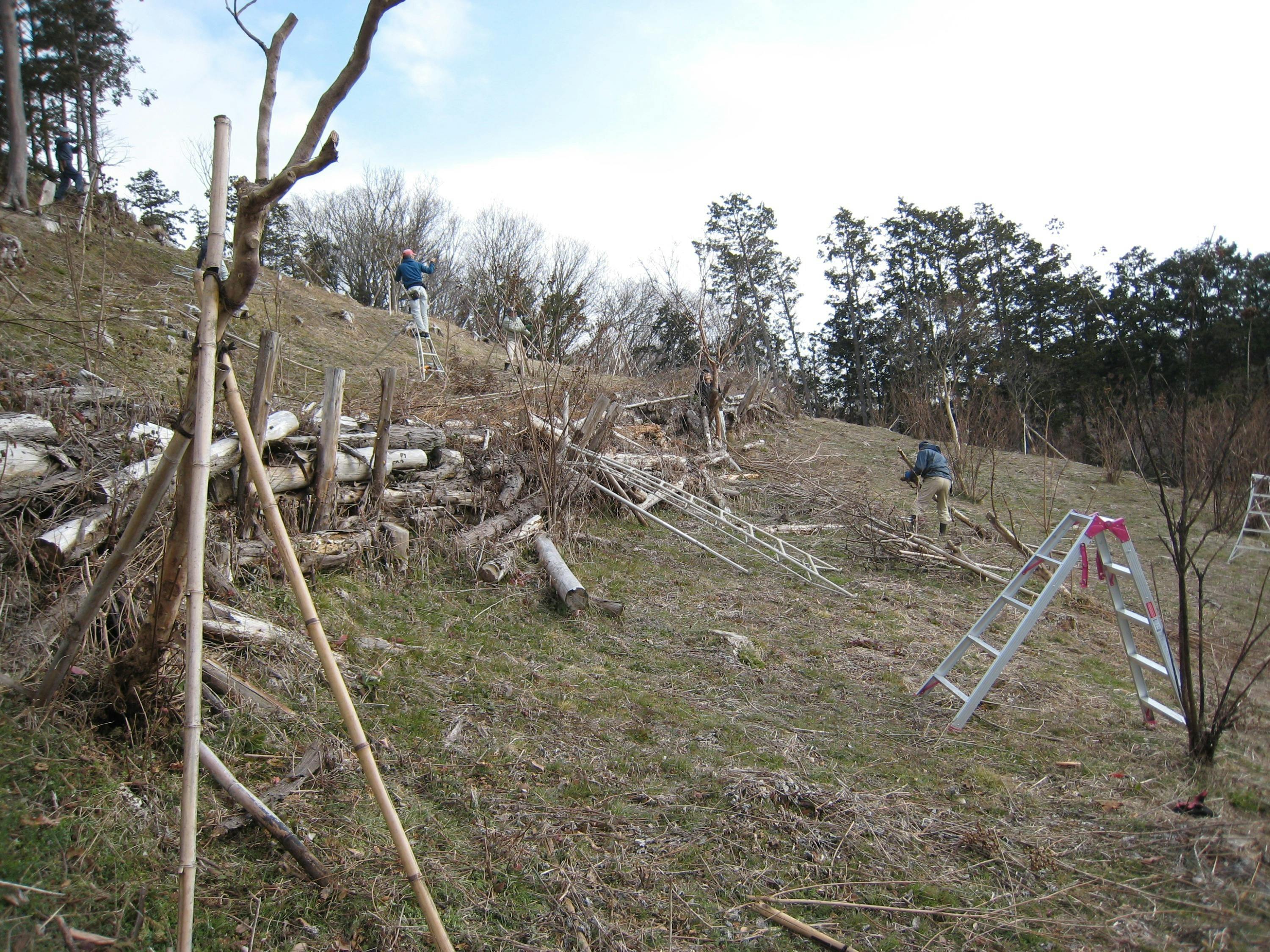 3番目のメイン画像