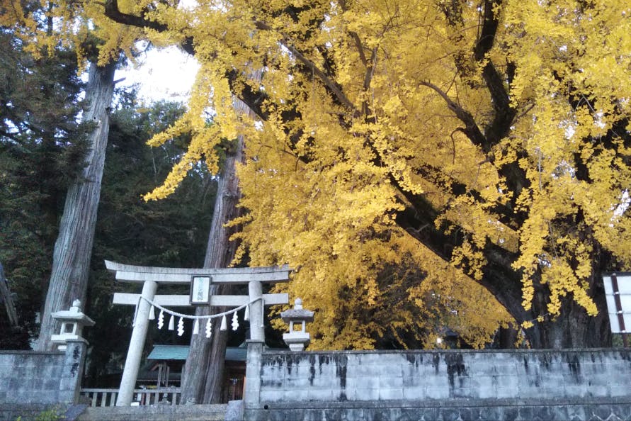 1番目のメイン画像