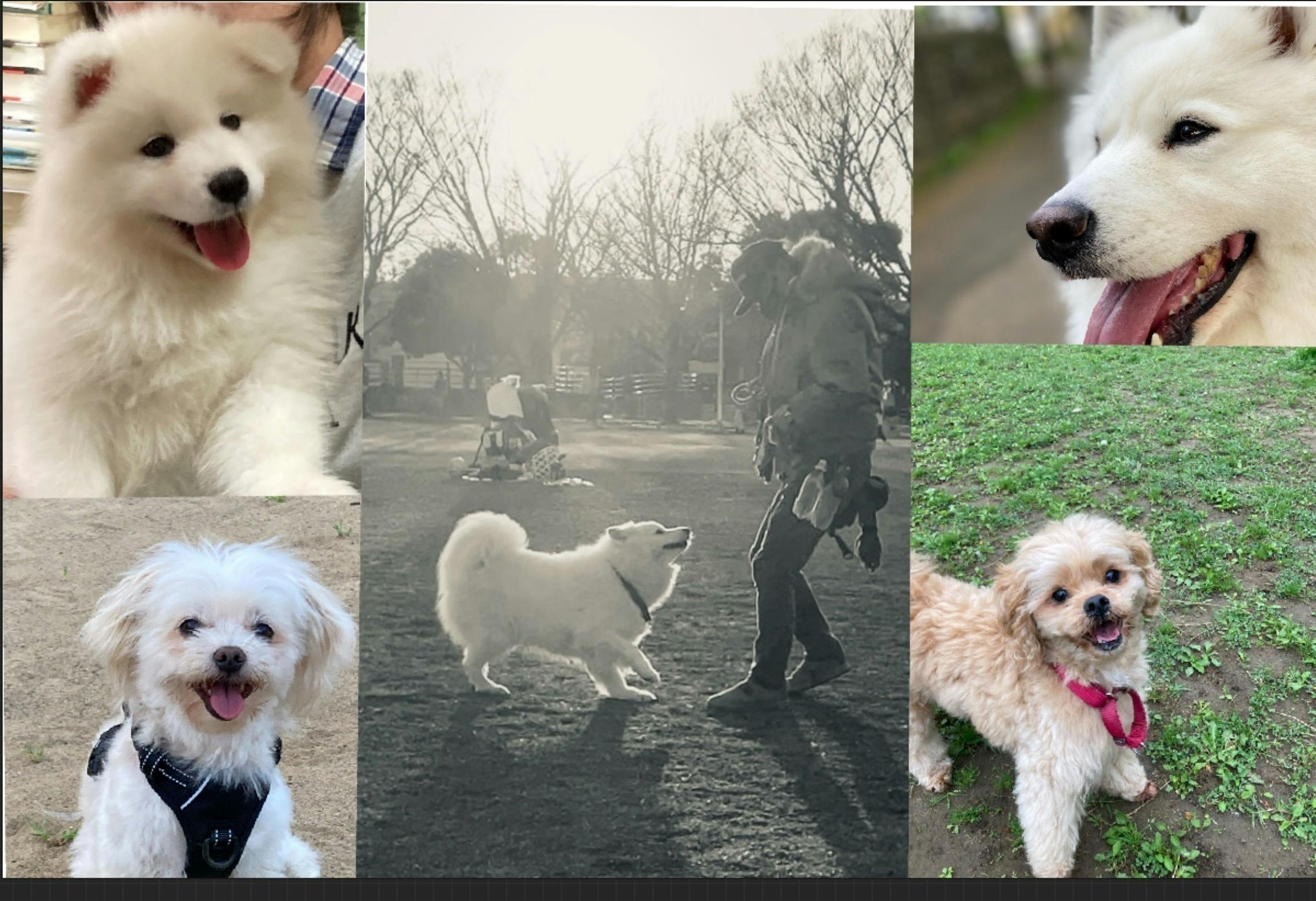 3番目のメイン画像