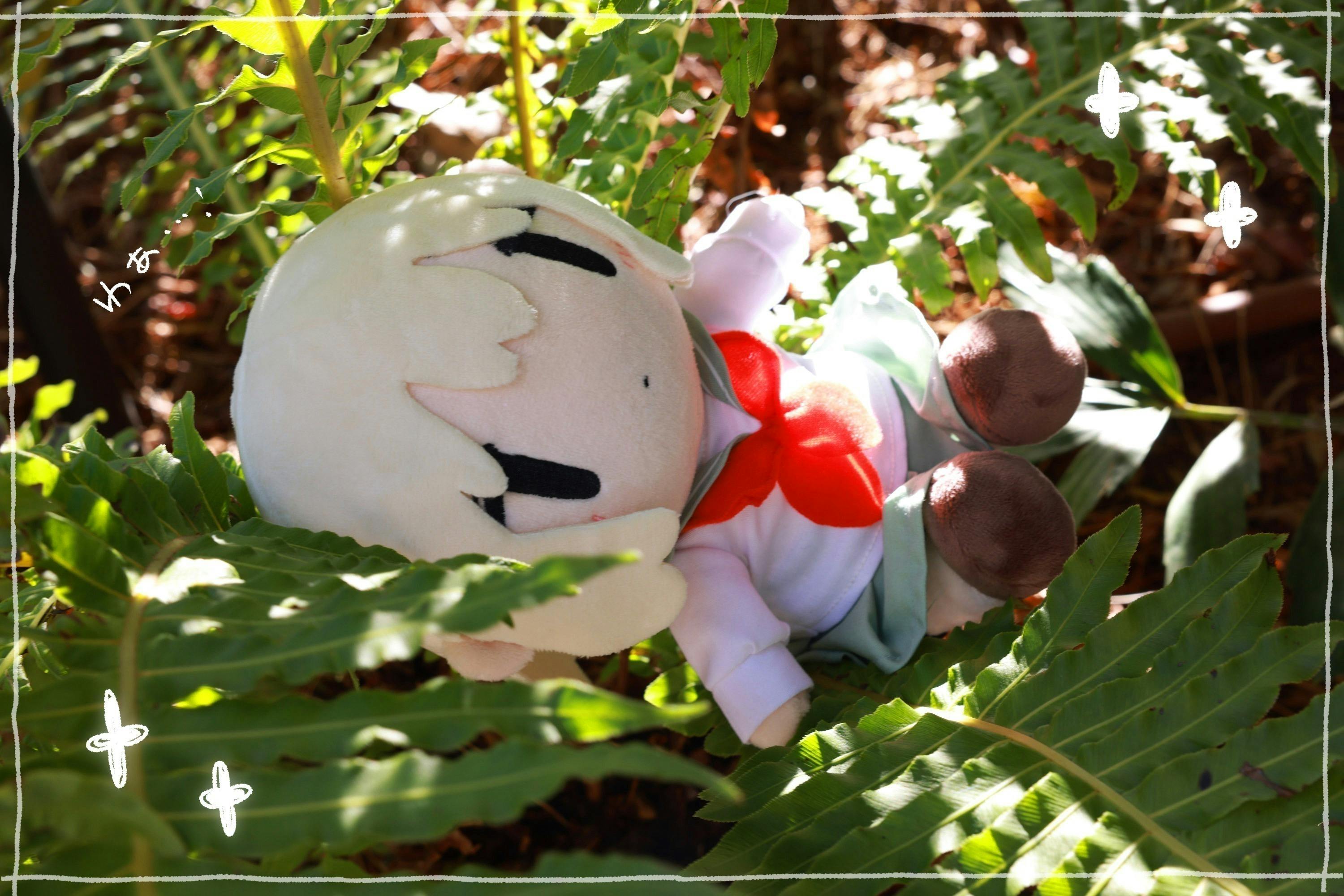 5番目のメイン画像