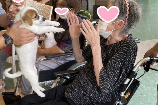 1番目のメイン画像