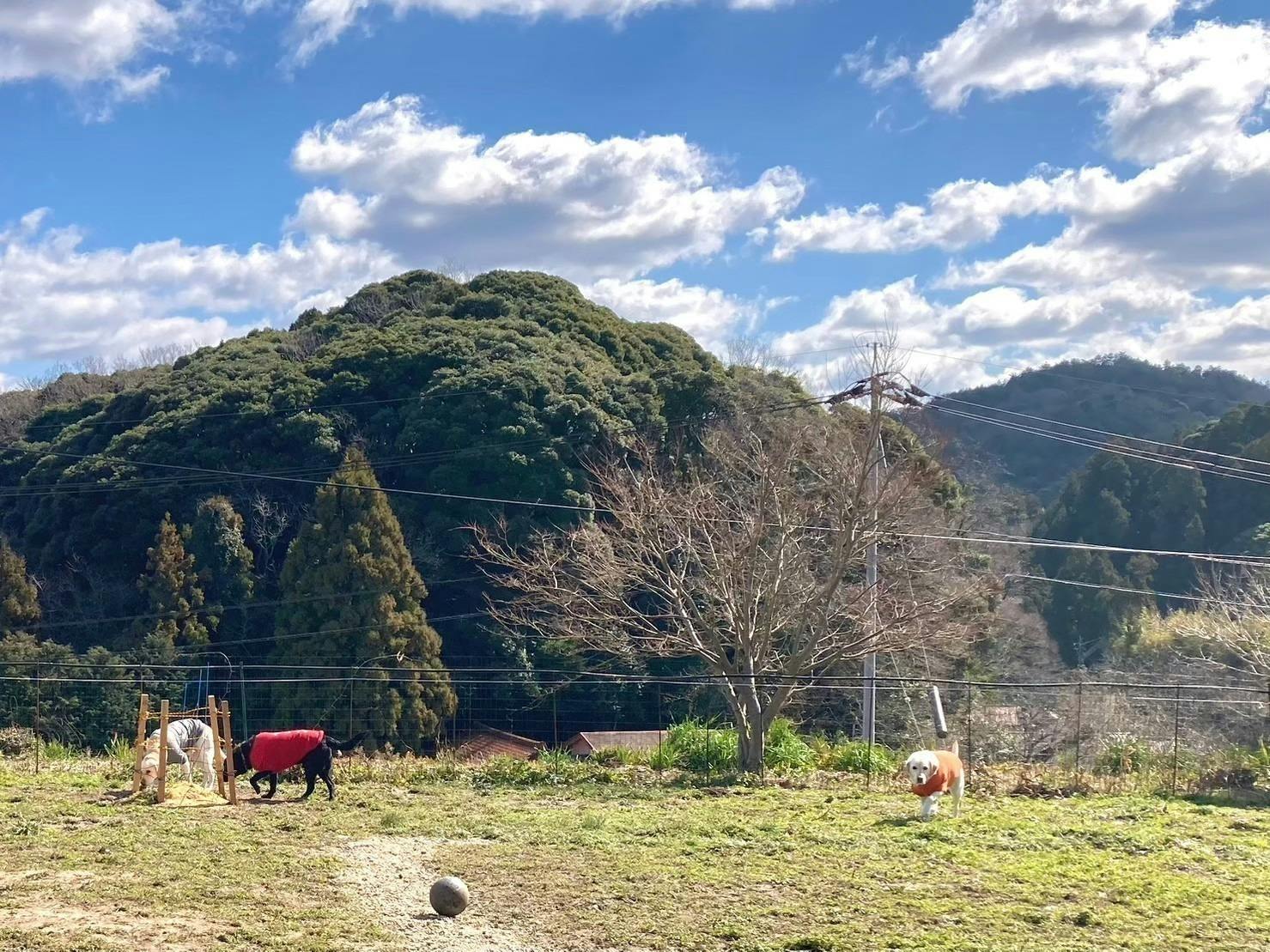 4番目のメイン画像