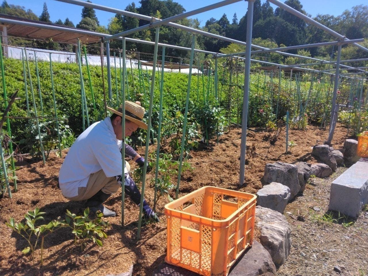 4番目のメイン画像