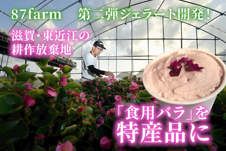 9fb90445-4430-4e85-8140-