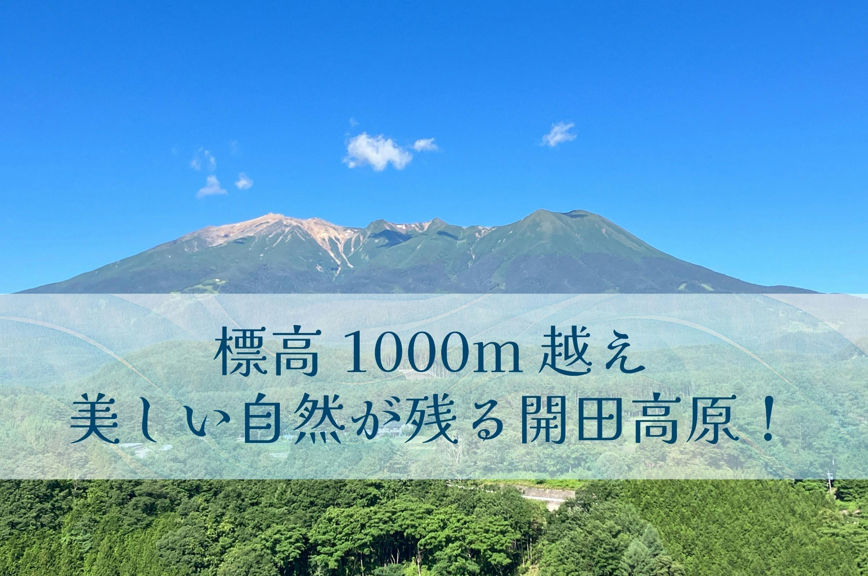 2番目のメイン画像