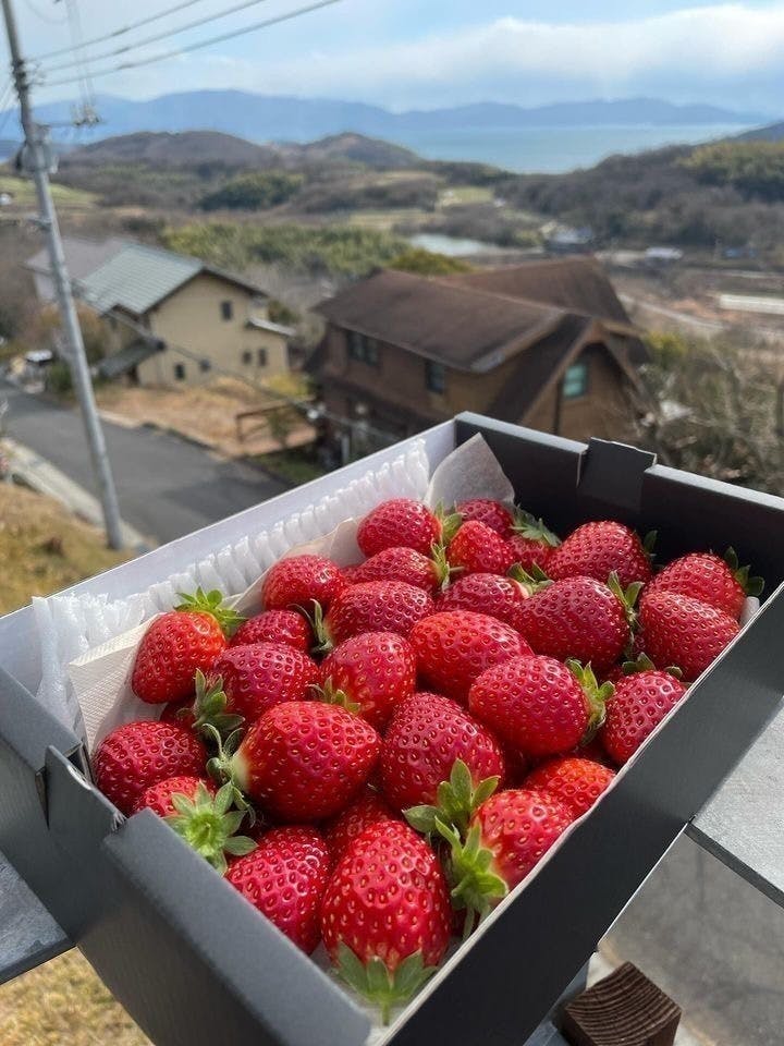 2番目のメイン画像