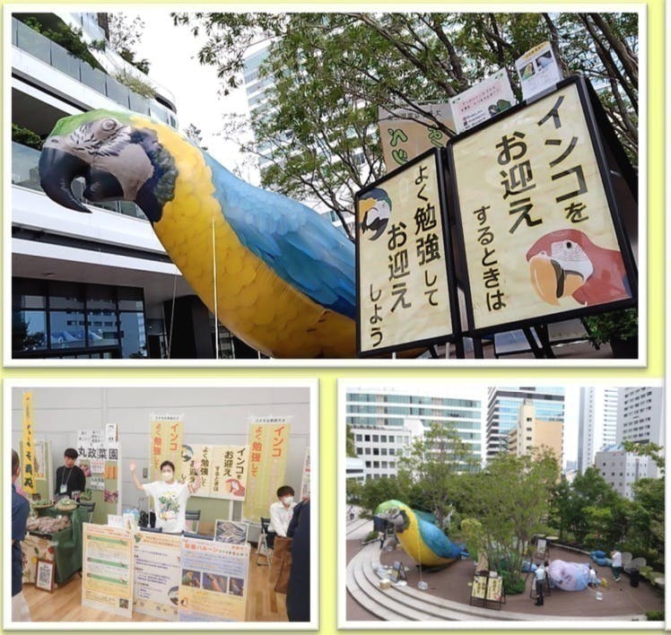 3番目のメイン画像