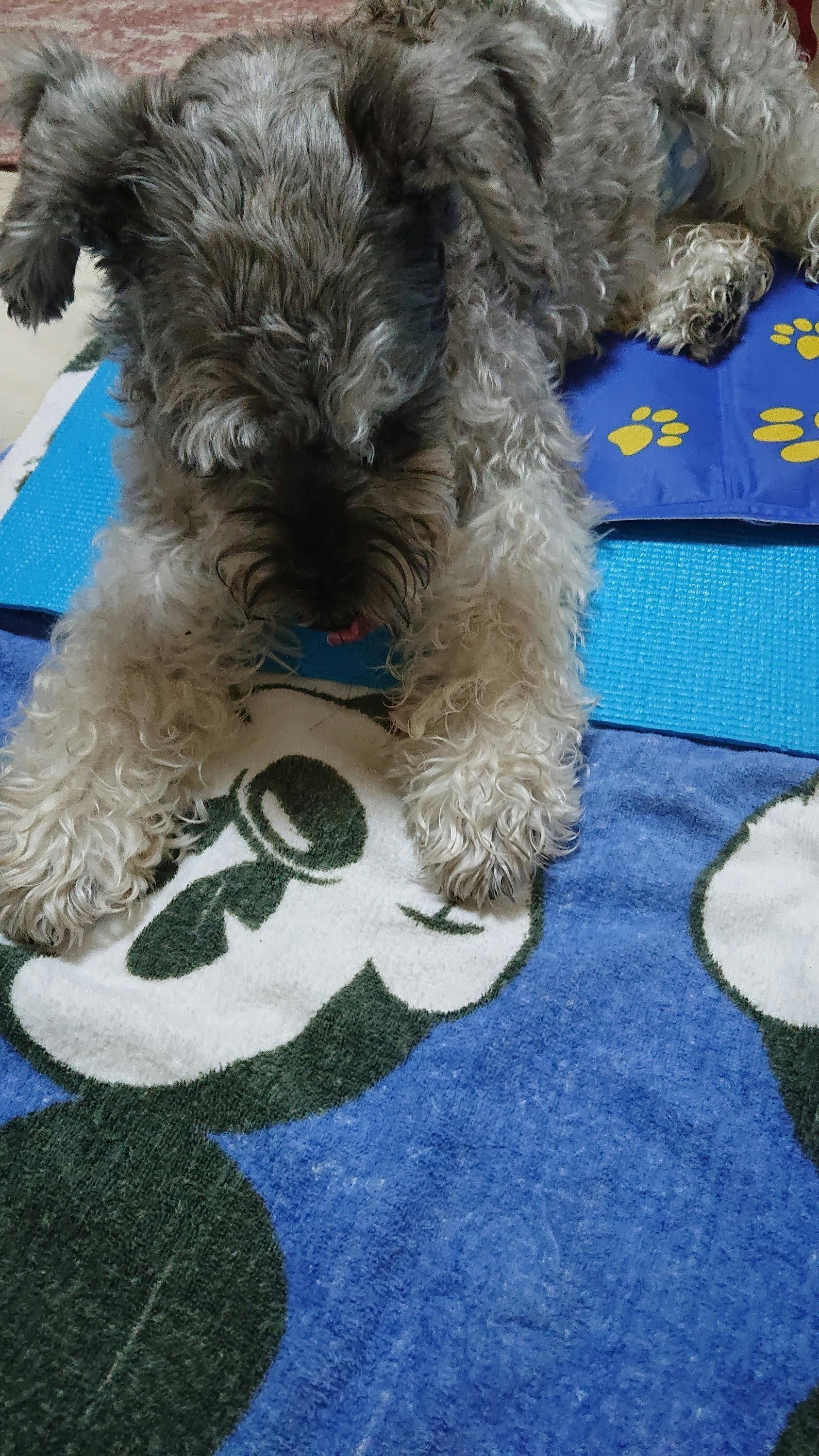 4番目のメイン画像