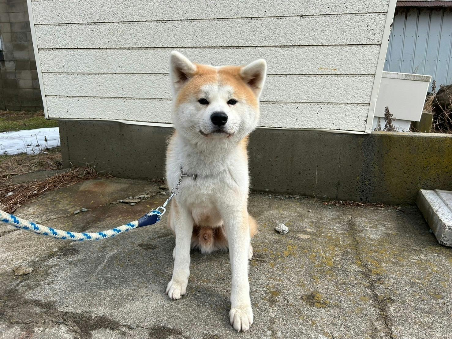 4番目のメイン画像