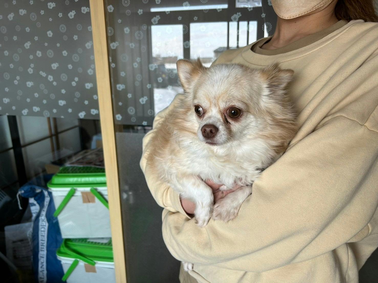 3番目のメイン画像