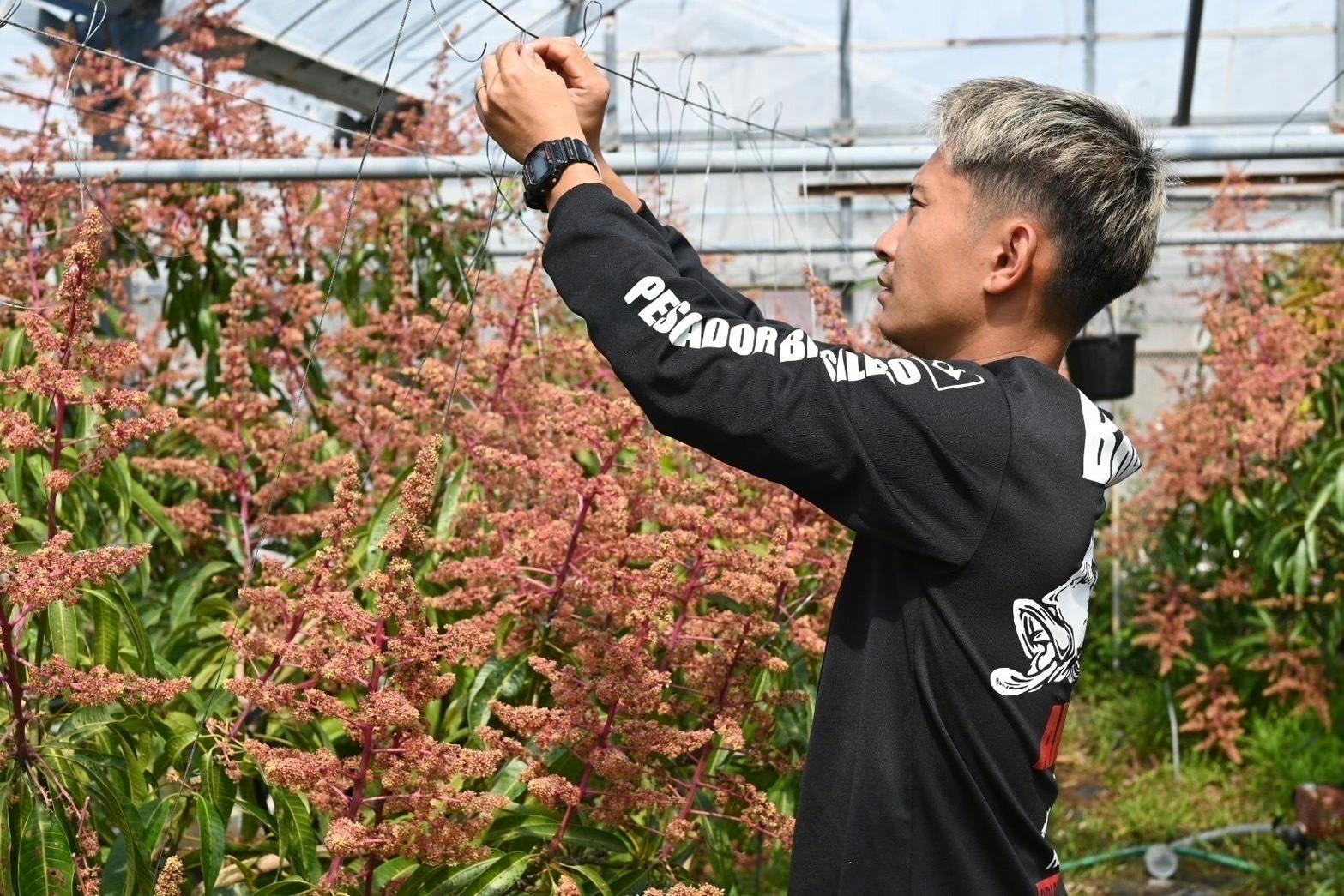 5番目のメイン画像