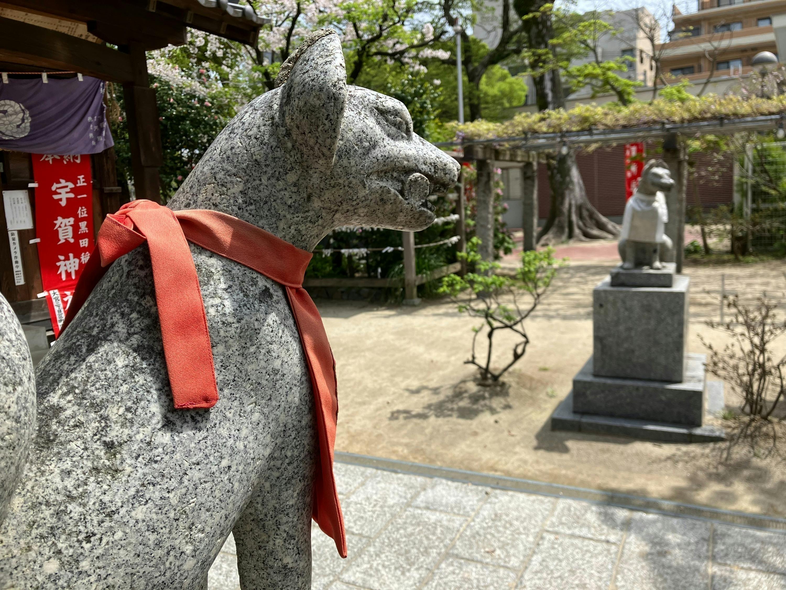 5番目のメイン画像