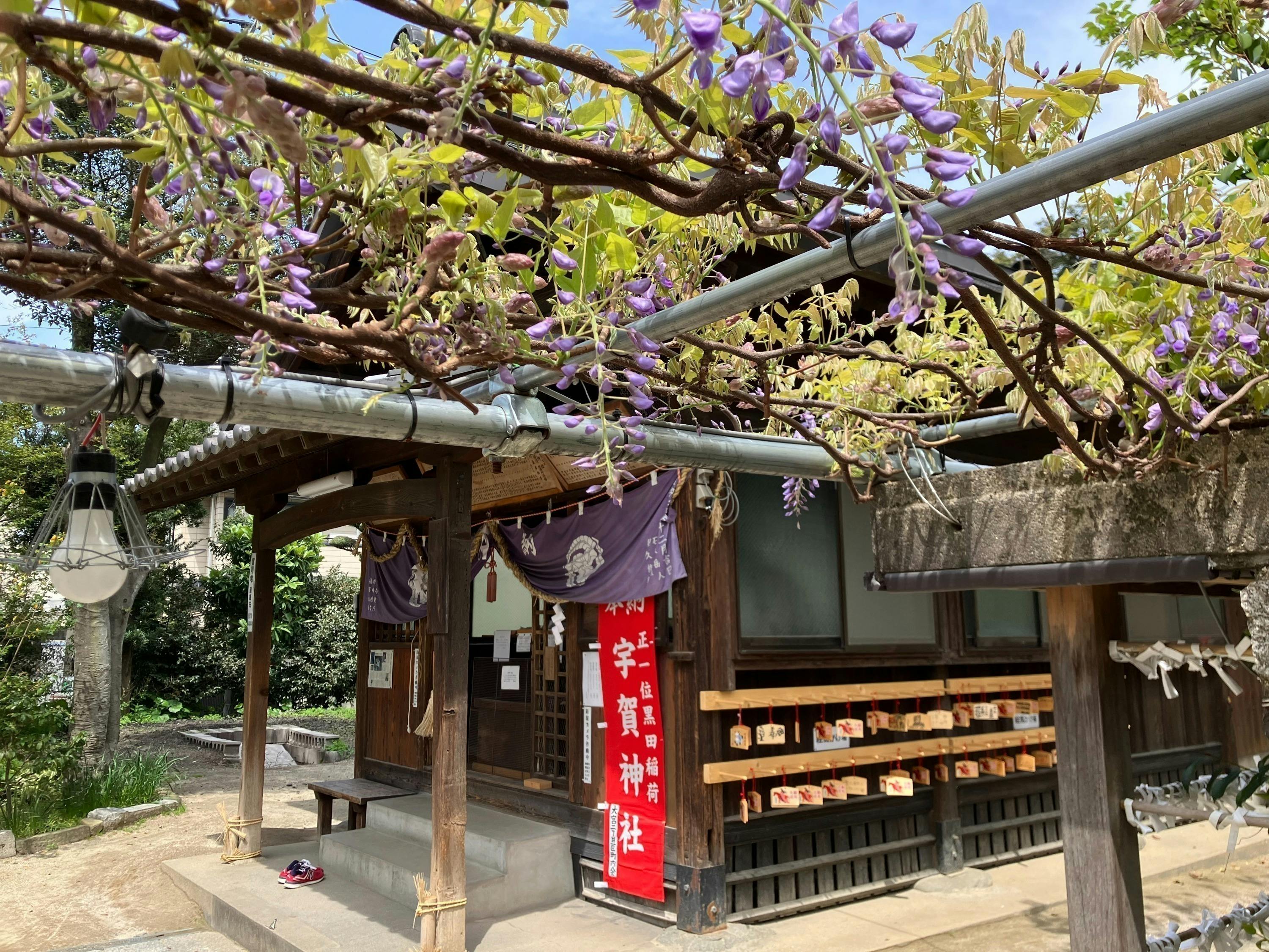 4番目のメイン画像