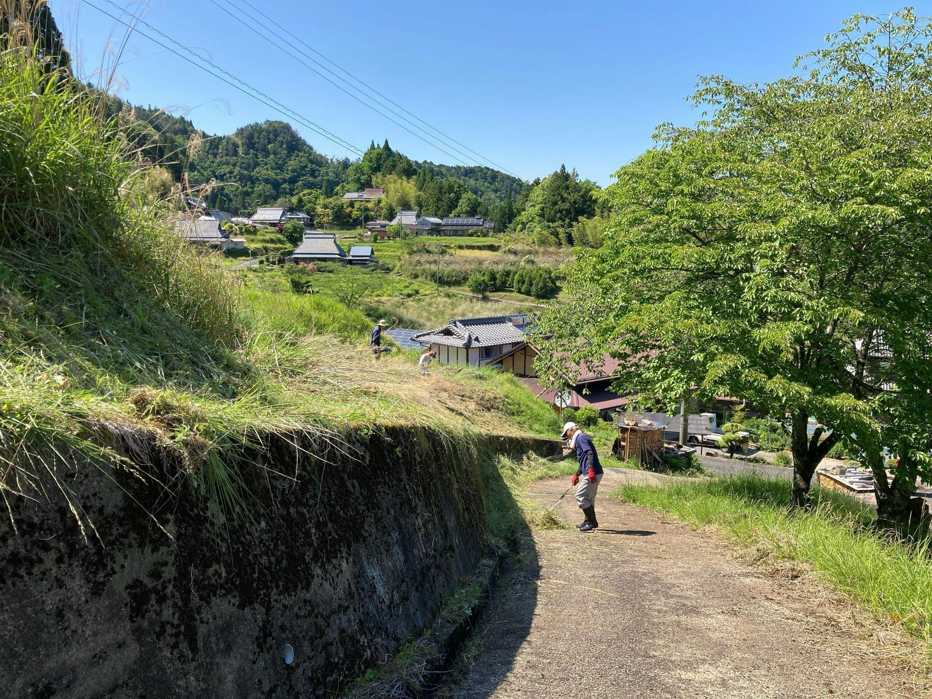 宇陀市 薬草のまち 奈良県宇陀市 荒れ果てた耕作地を『食べられるお庭』として整えたい - CAMPFIRE (キャンプファイヤー)