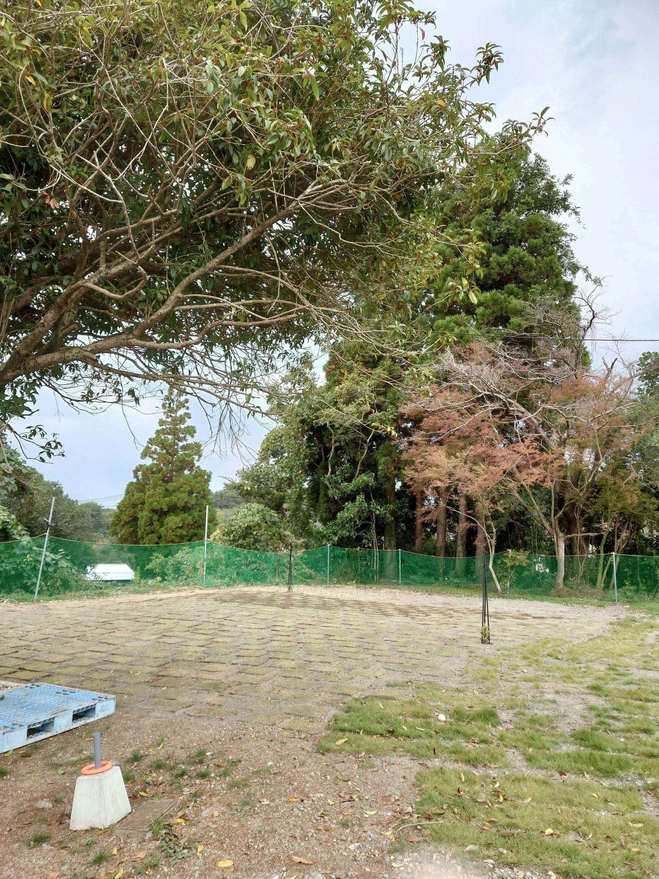 5番目のメイン画像