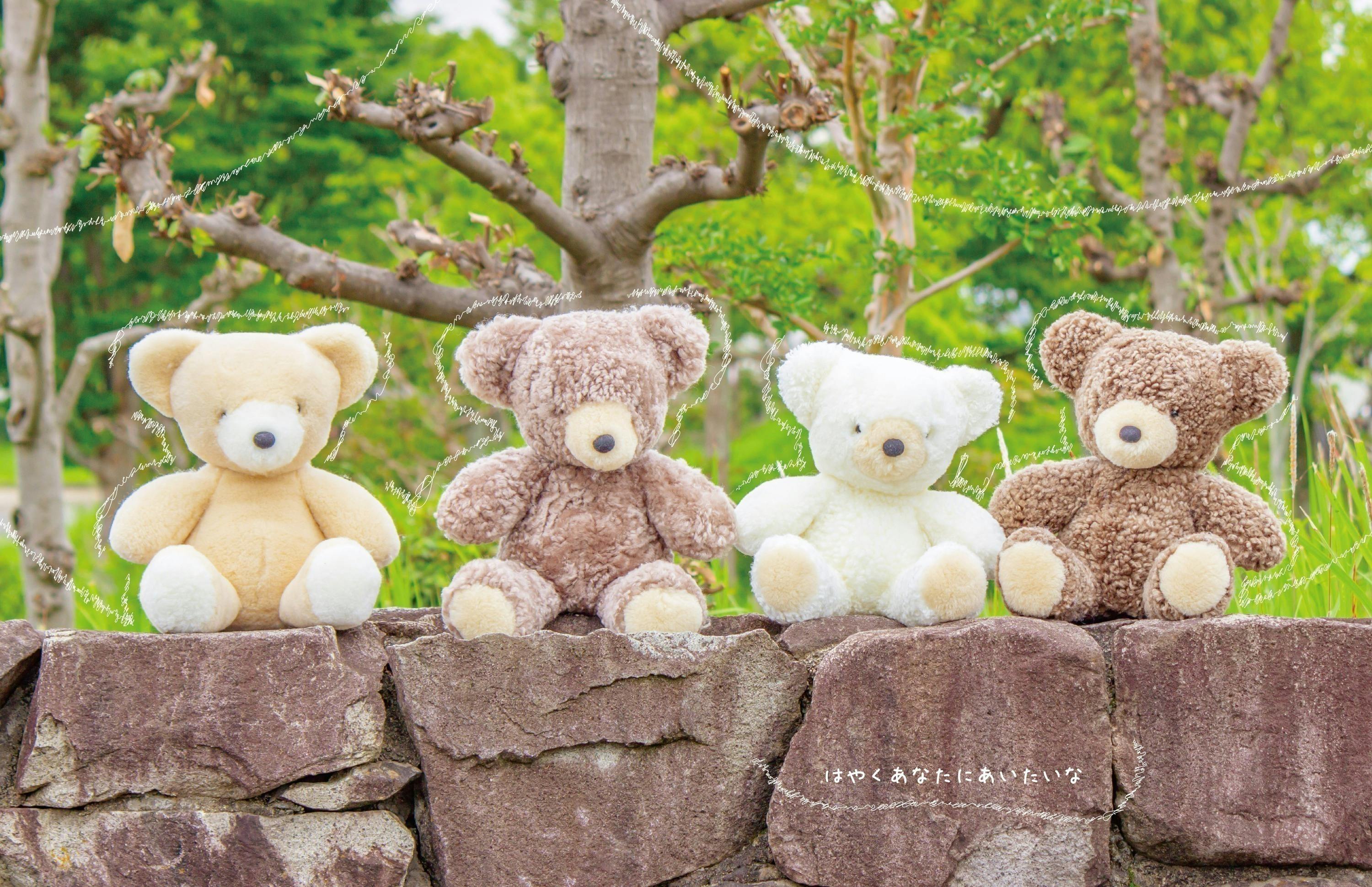 5番目のメイン画像