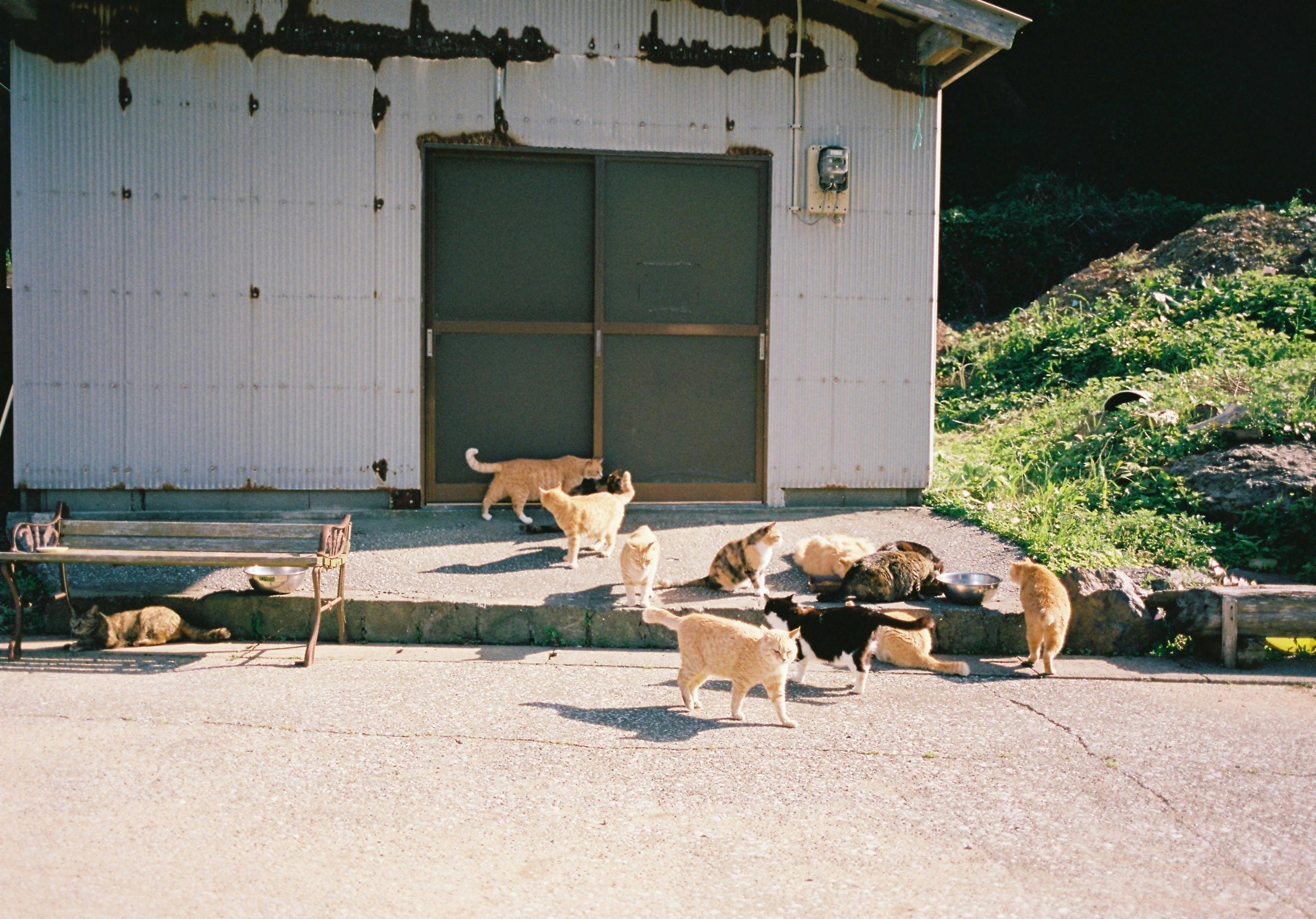 4番目のメイン画像