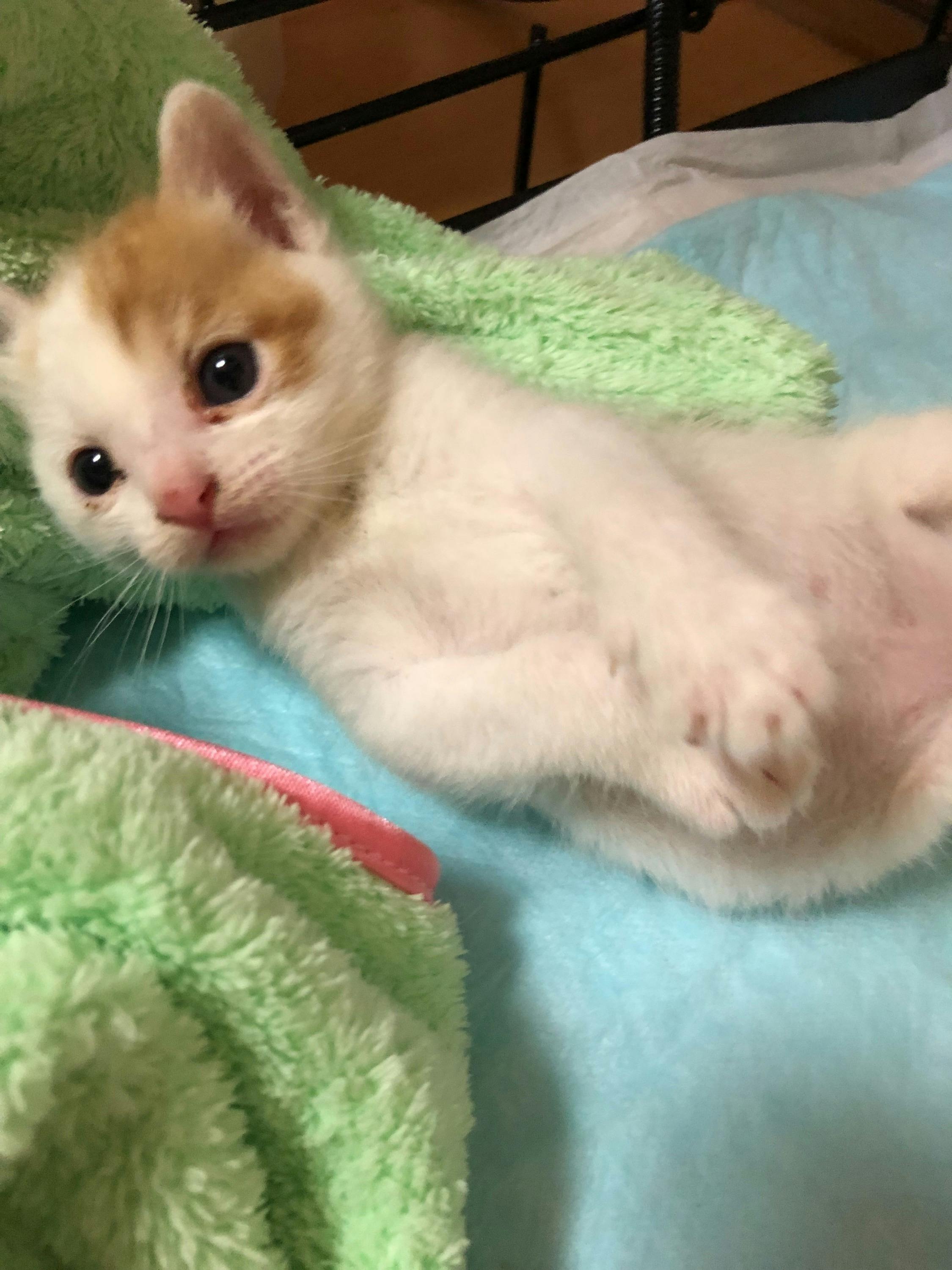 3番目のメイン画像