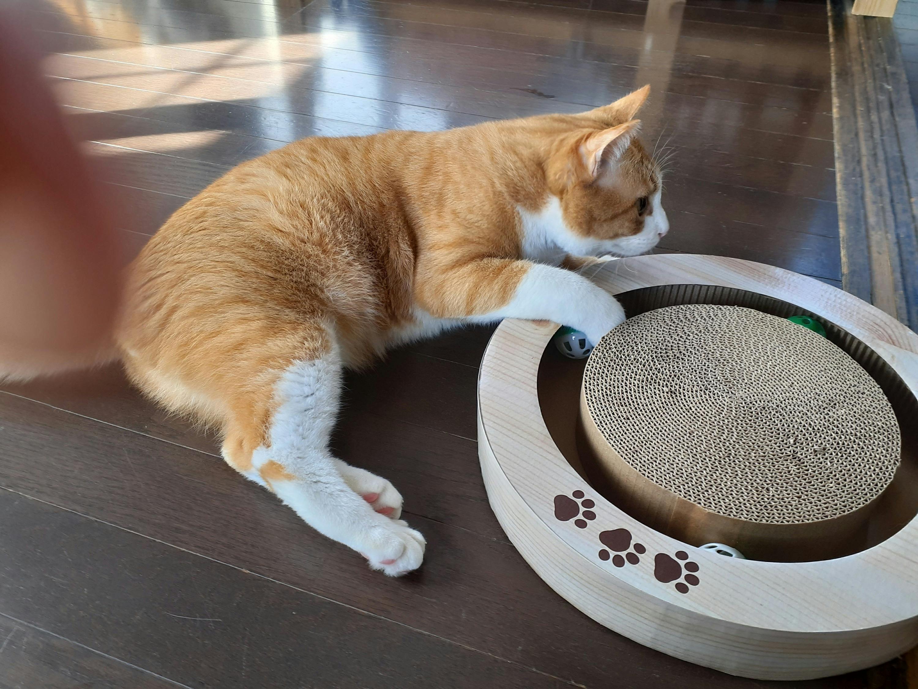 2番目のメイン画像