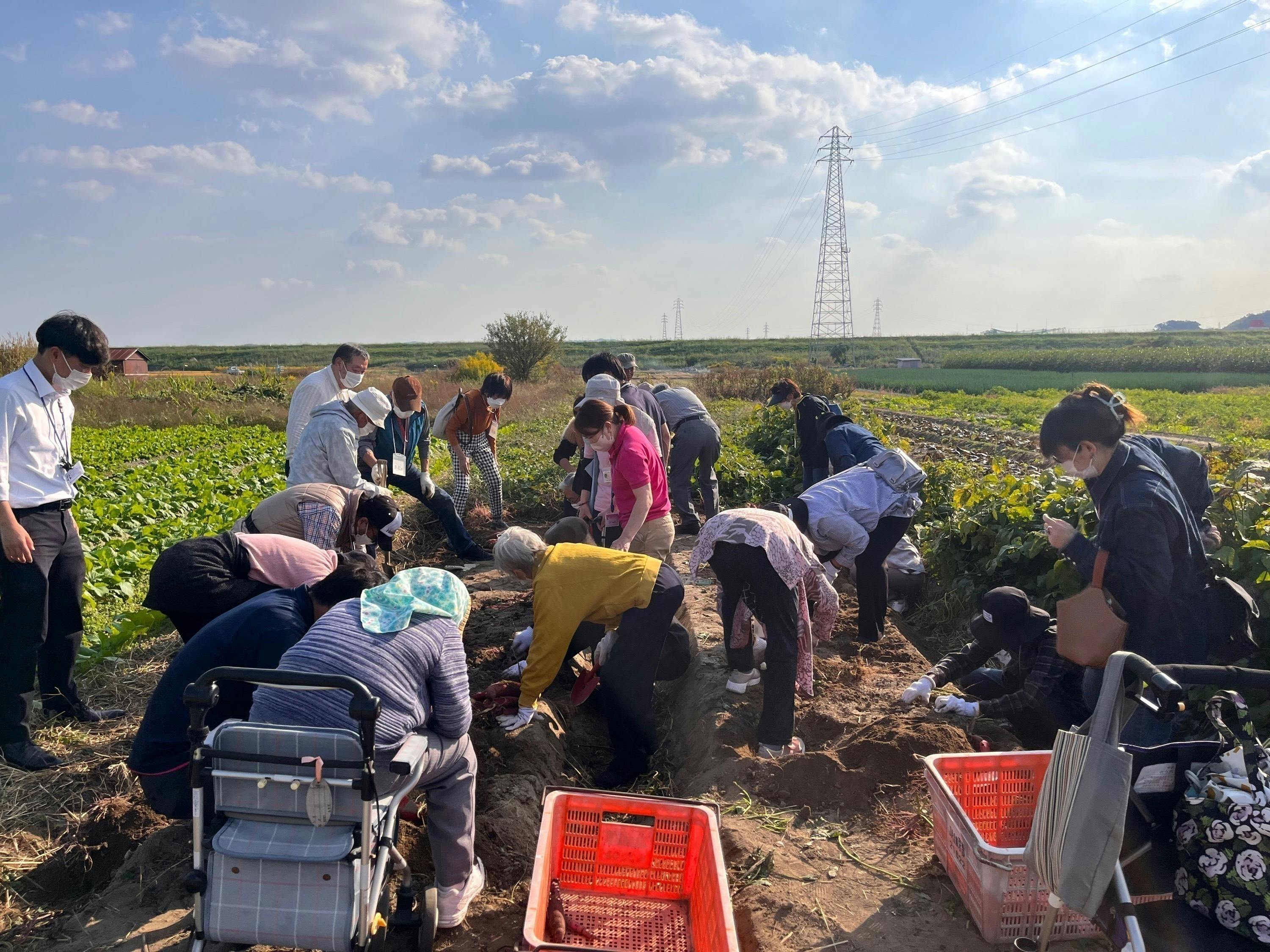 4番目のメイン画像