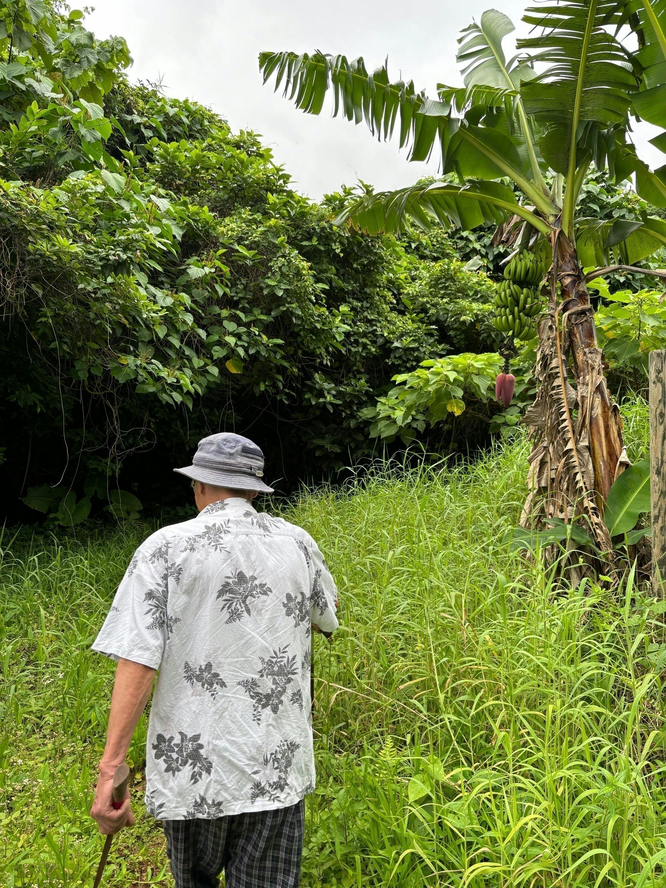 4番目のメイン画像