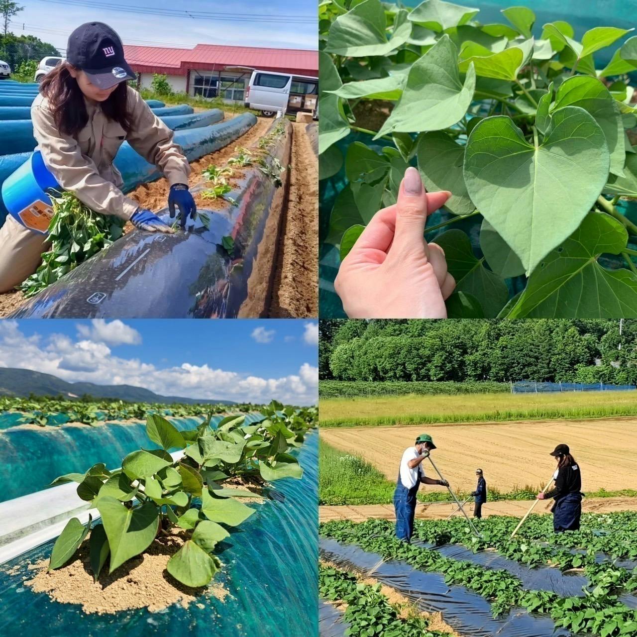 4番目のメイン画像