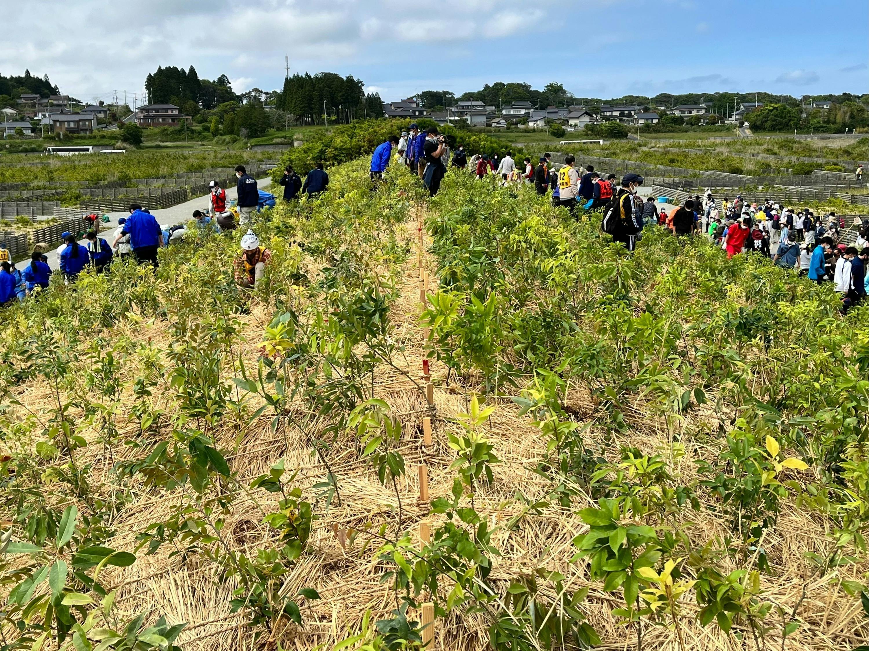 3番目のメイン画像