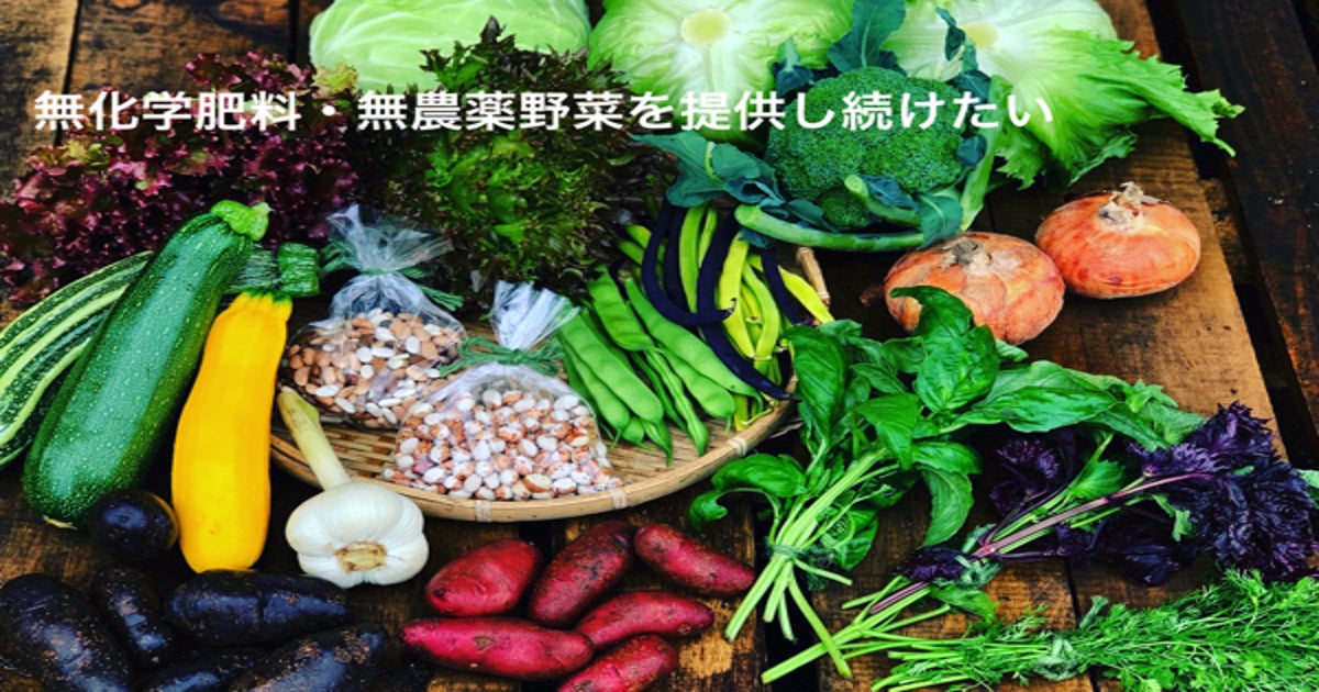 無化学肥料・無農薬で育てた安心で美味しい野菜たちを、沢山の方々に 