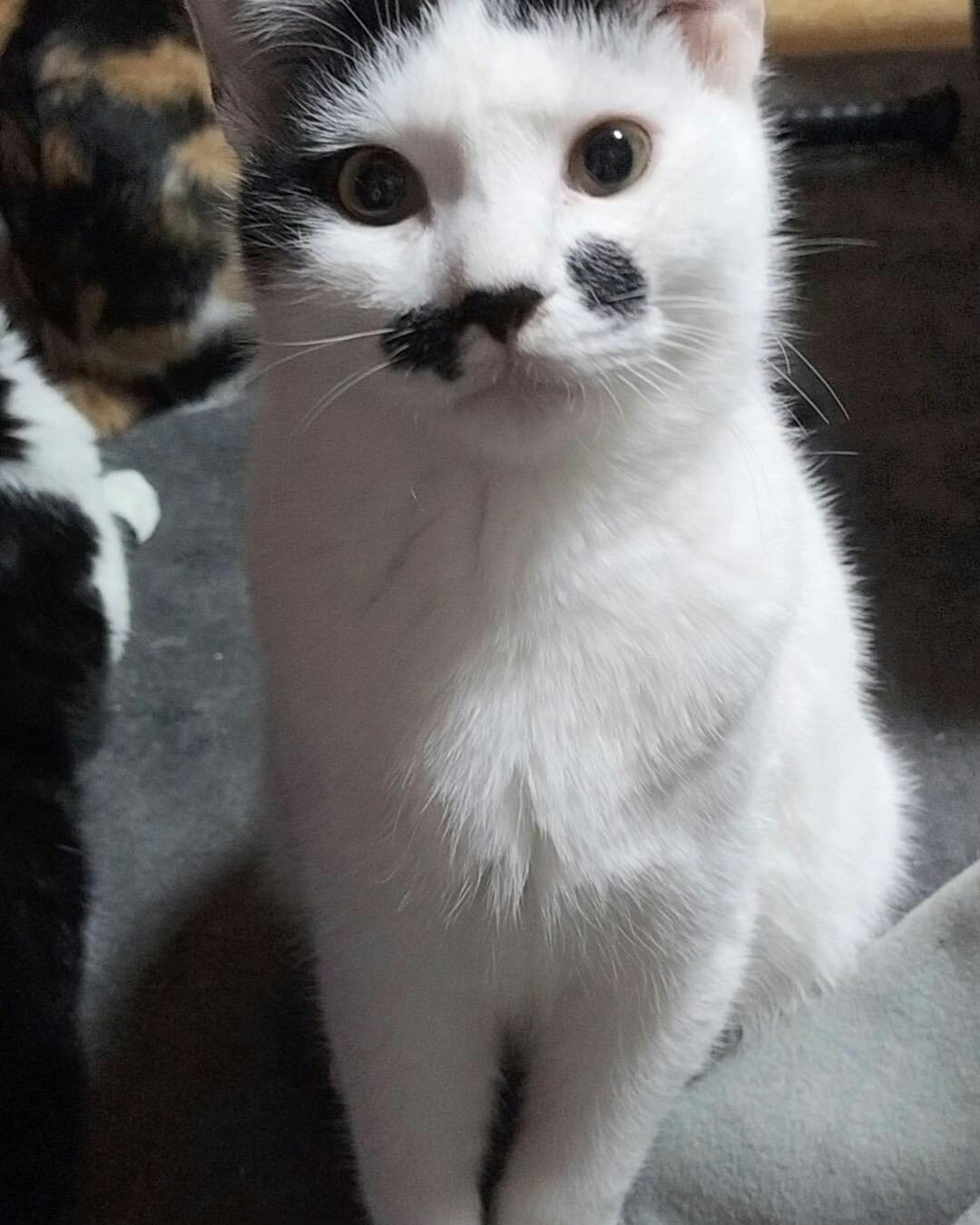 5番目のメイン画像