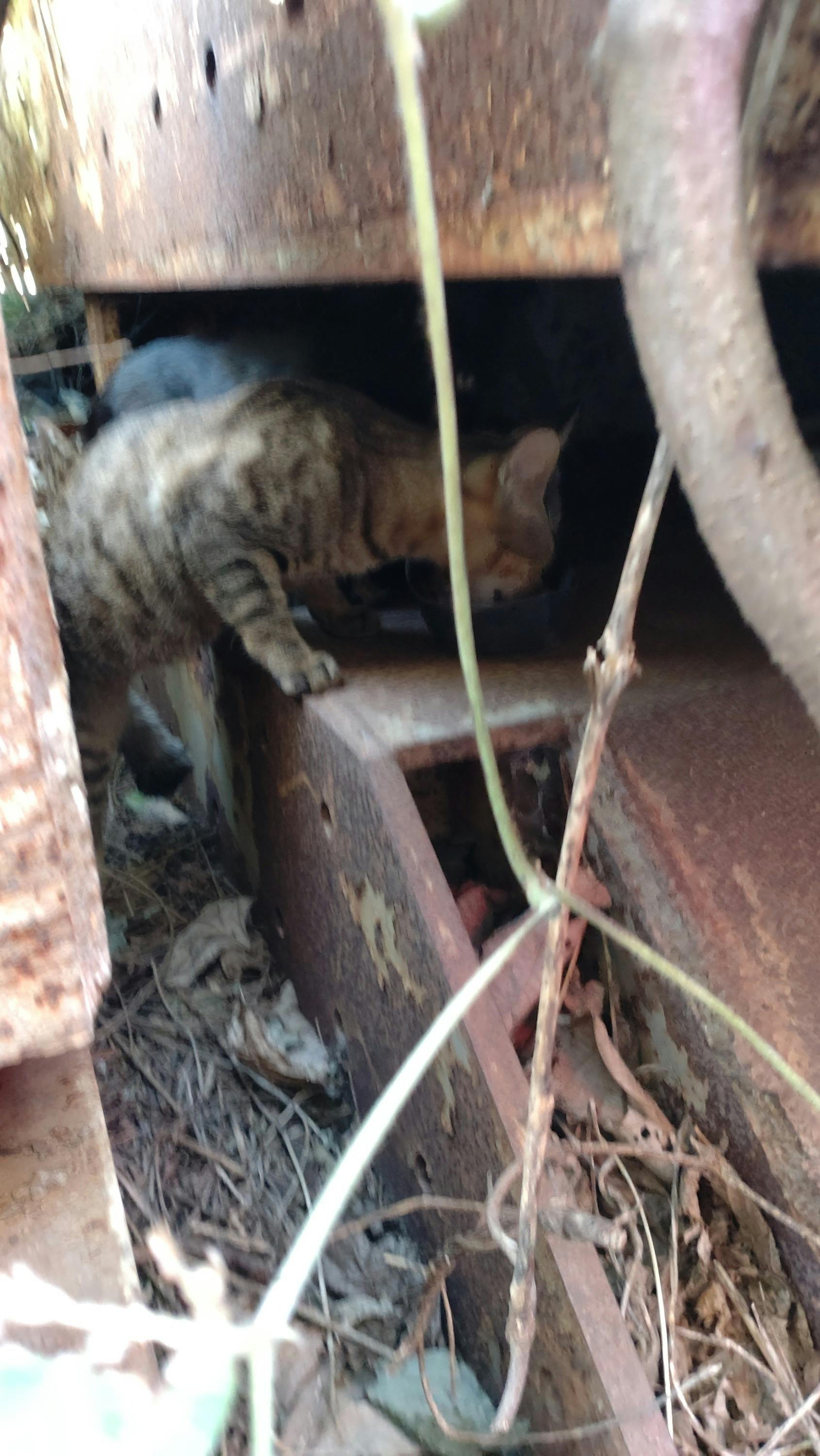 5番目のメイン画像