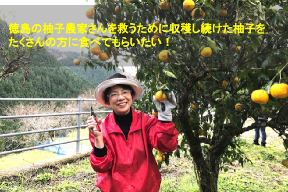 0573e15a-81d9-4df8-a468-