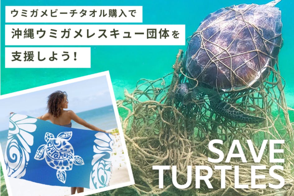 活動報告一覧 - ウミガメデザインビーチタオル販売し沖縄ウミガメ