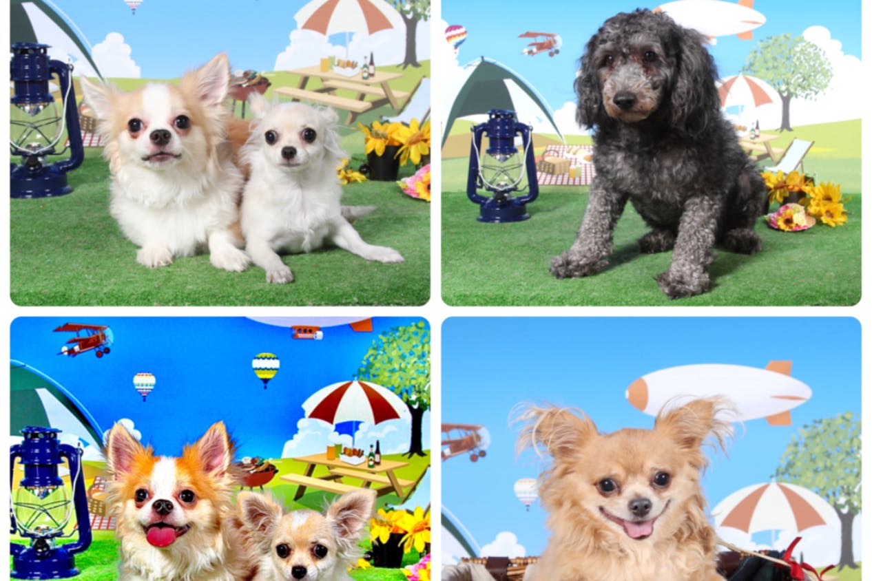 1番目のメイン画像