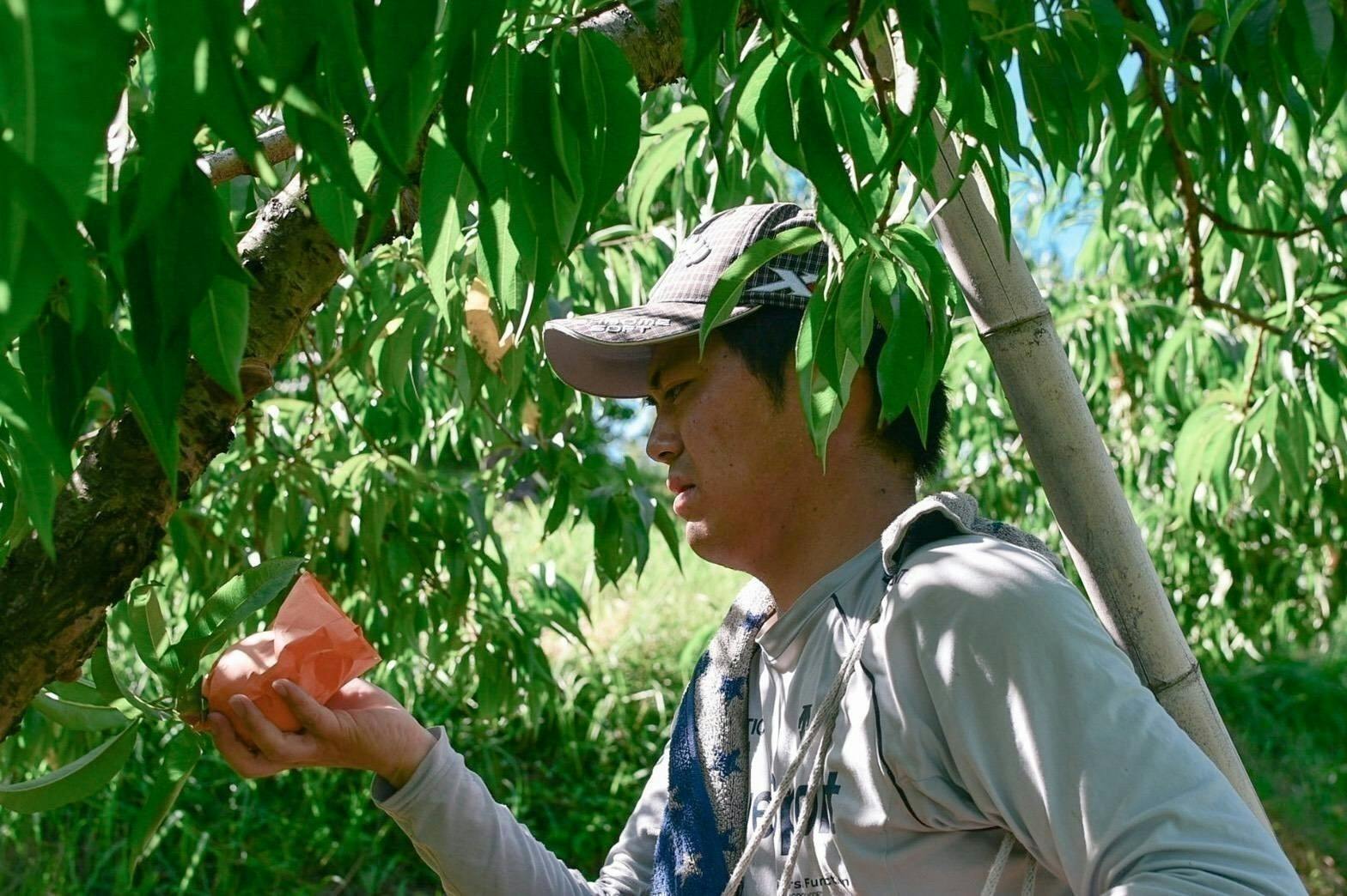 2番目のメイン画像