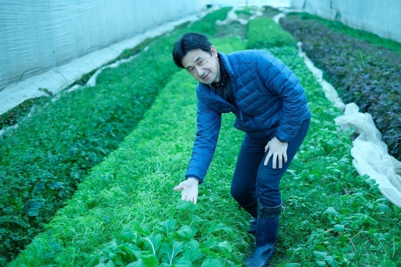 2番目のメイン画像