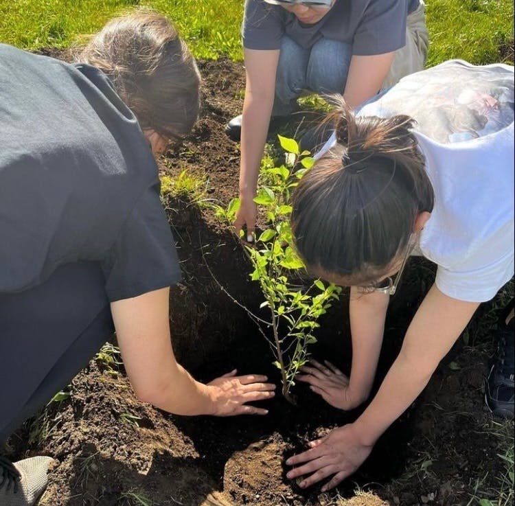 2番目のメイン画像