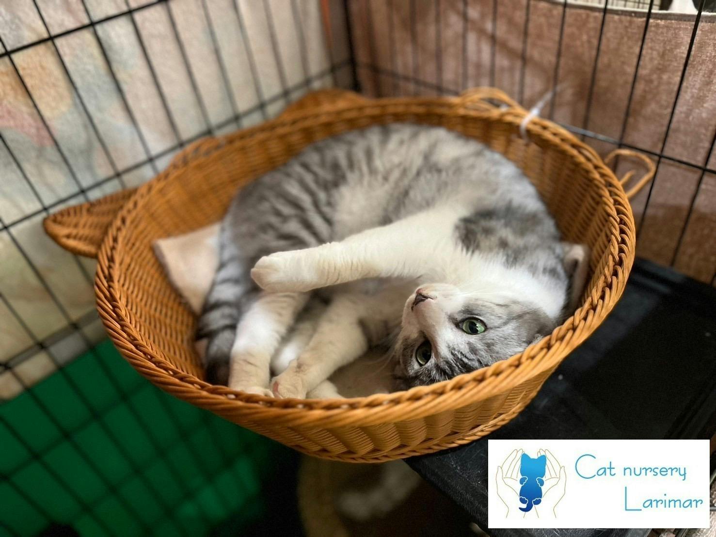 5番目のメイン画像