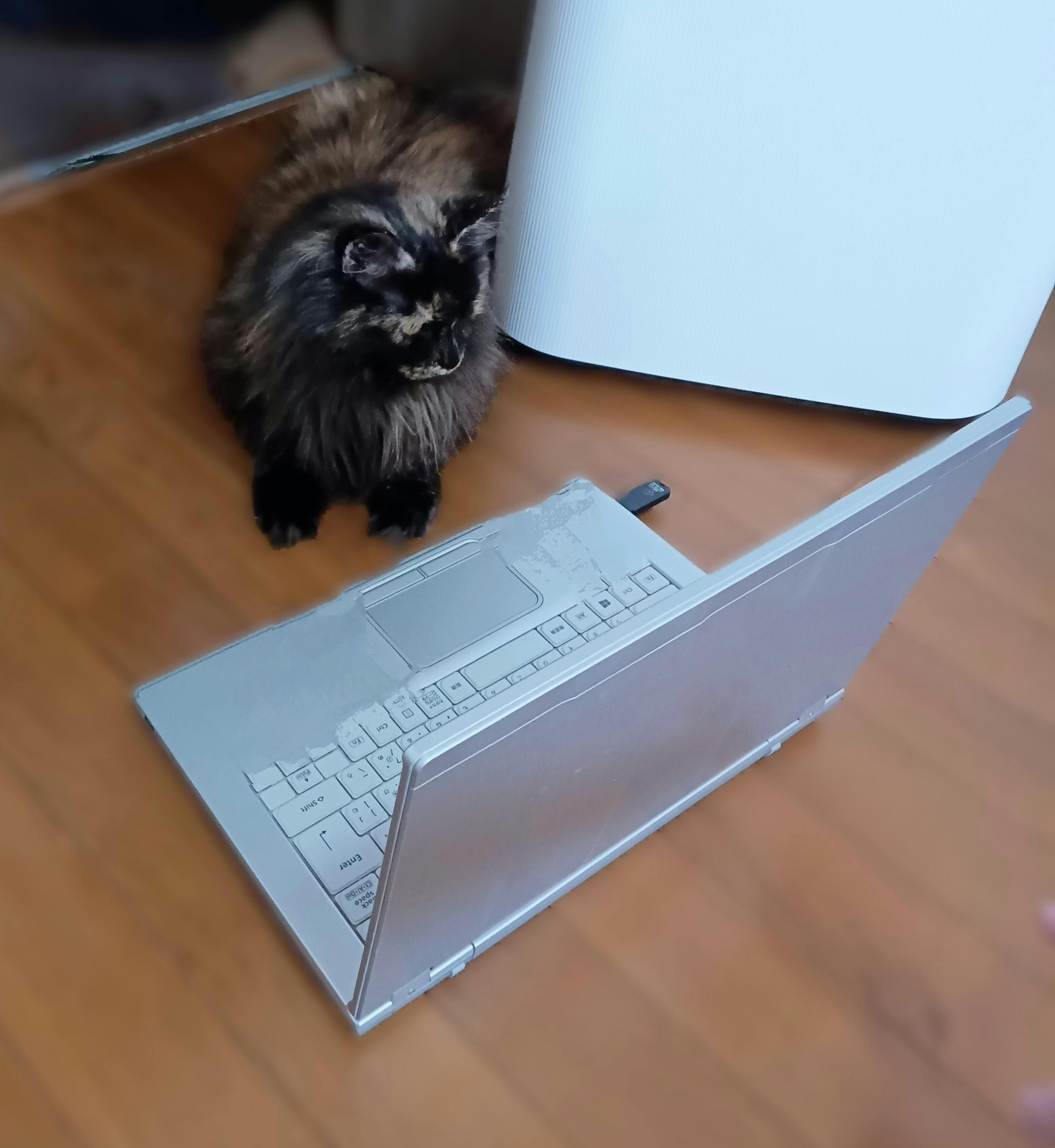 5番目のメイン画像