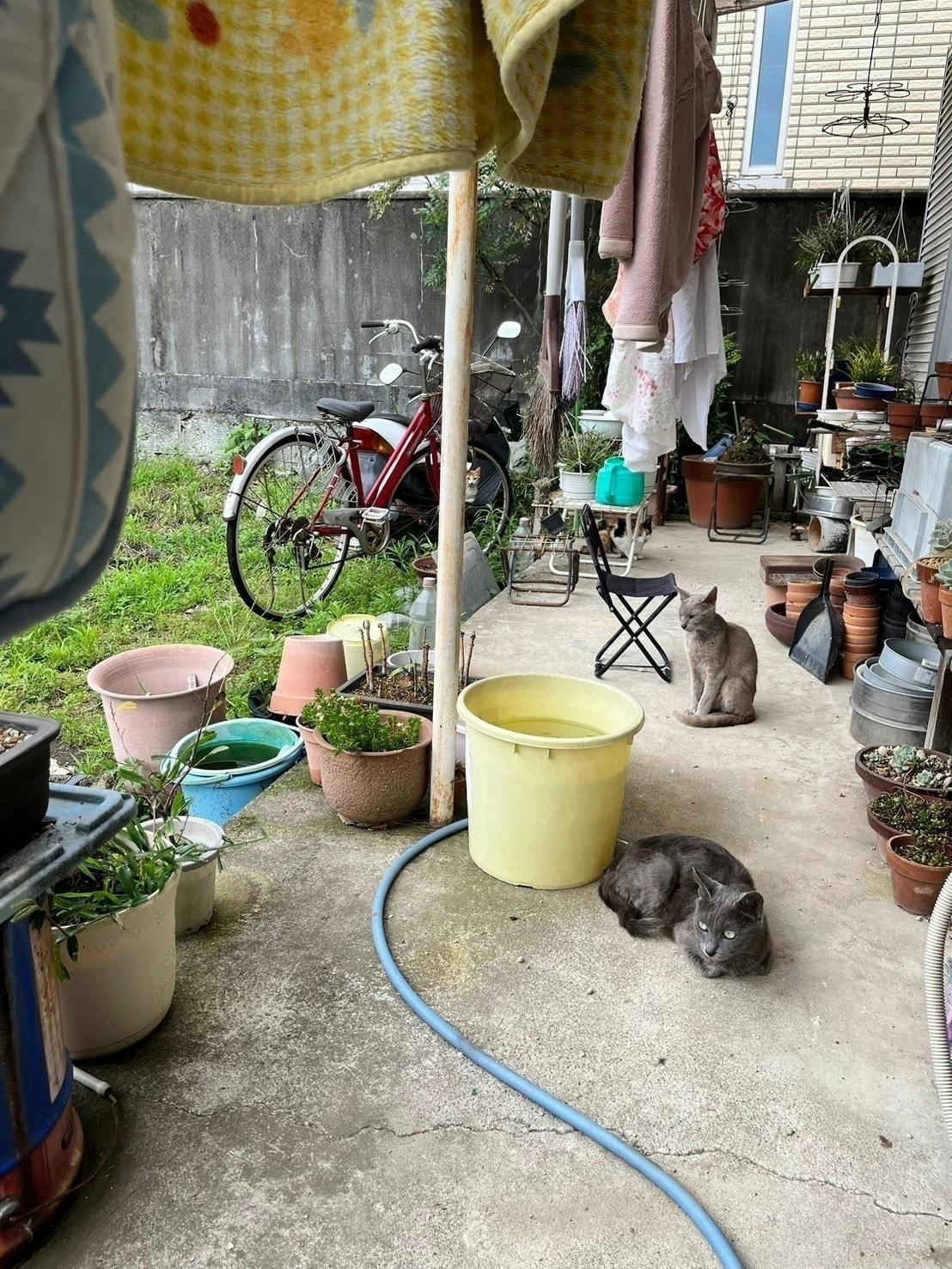 5番目のメイン画像